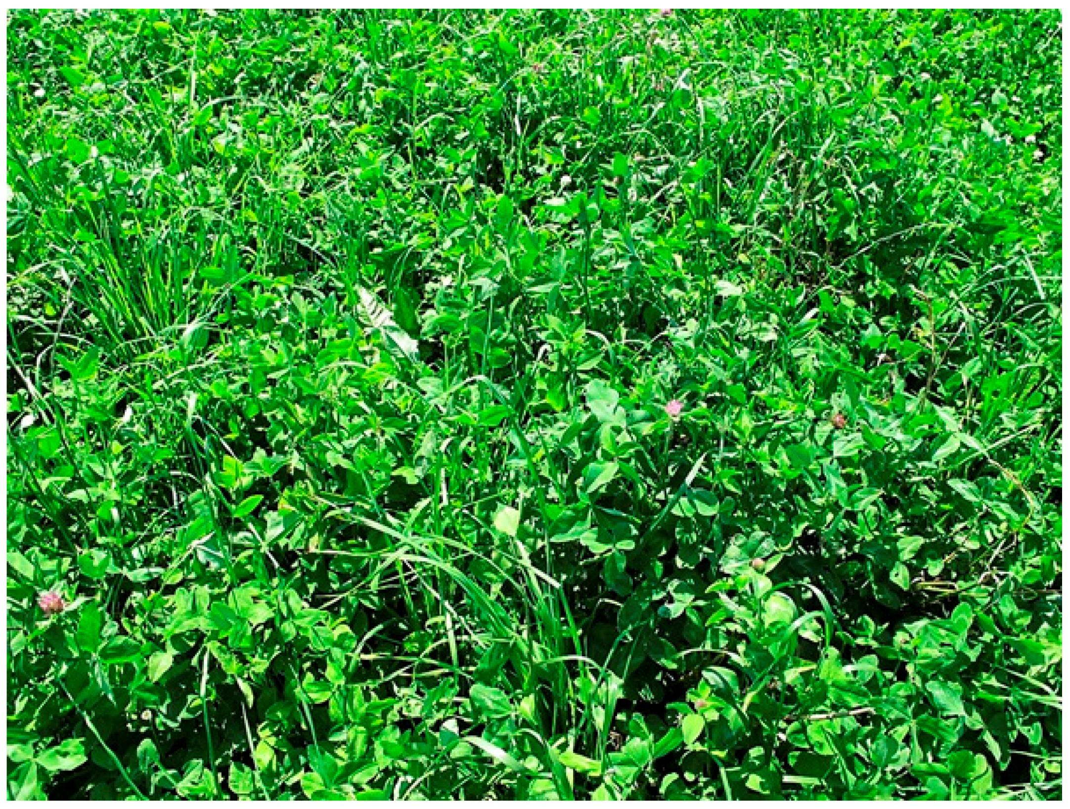 Agriculture 08 00080 g003