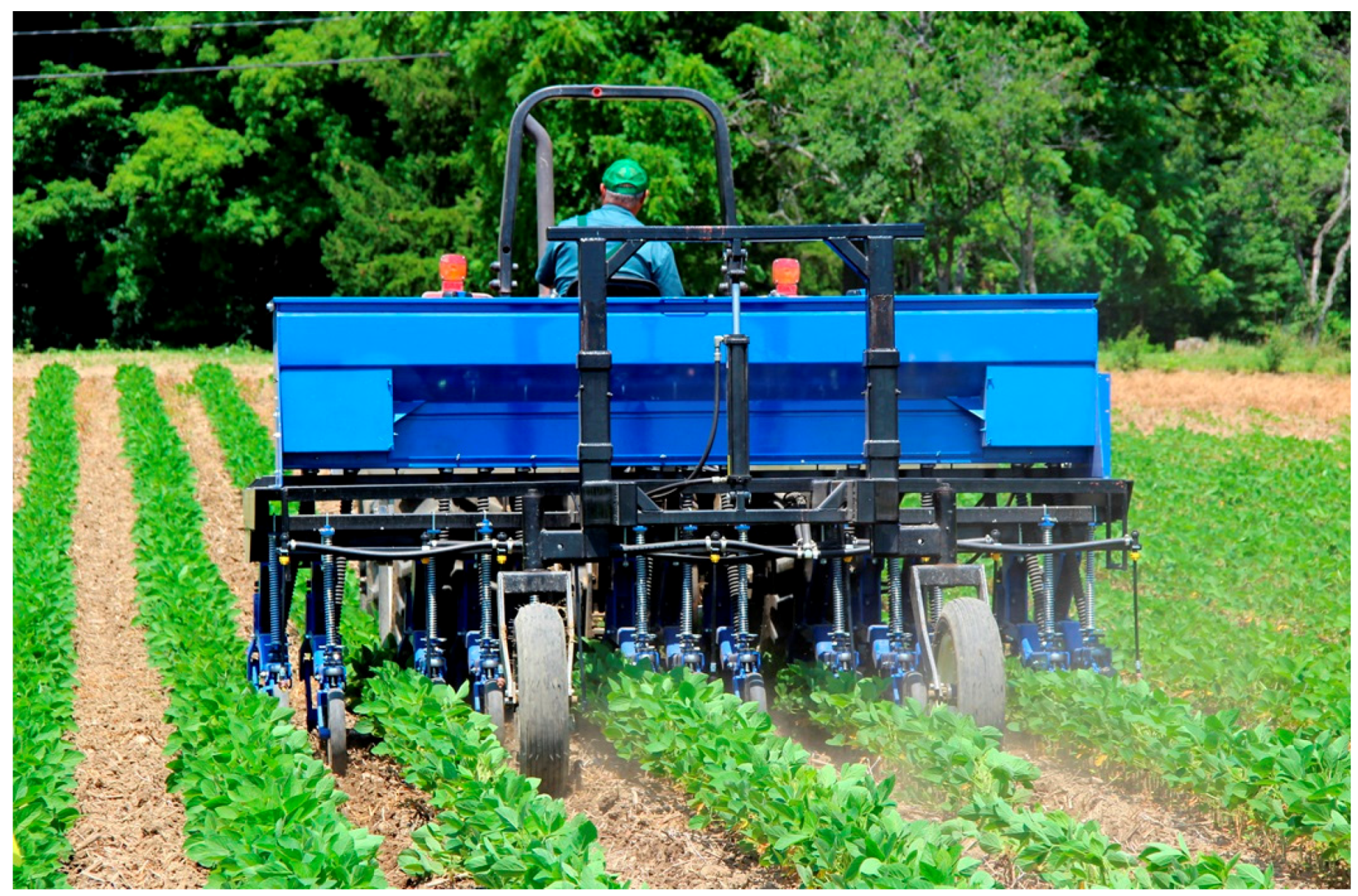 Agriculture 08 00080 g010