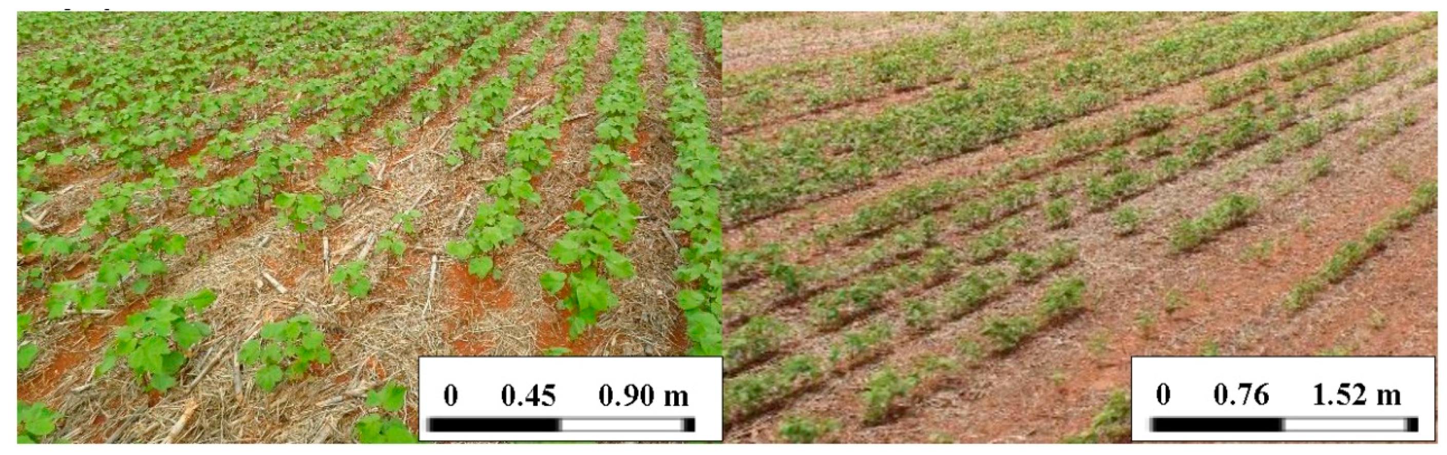 Agriculture 08 00101 g003