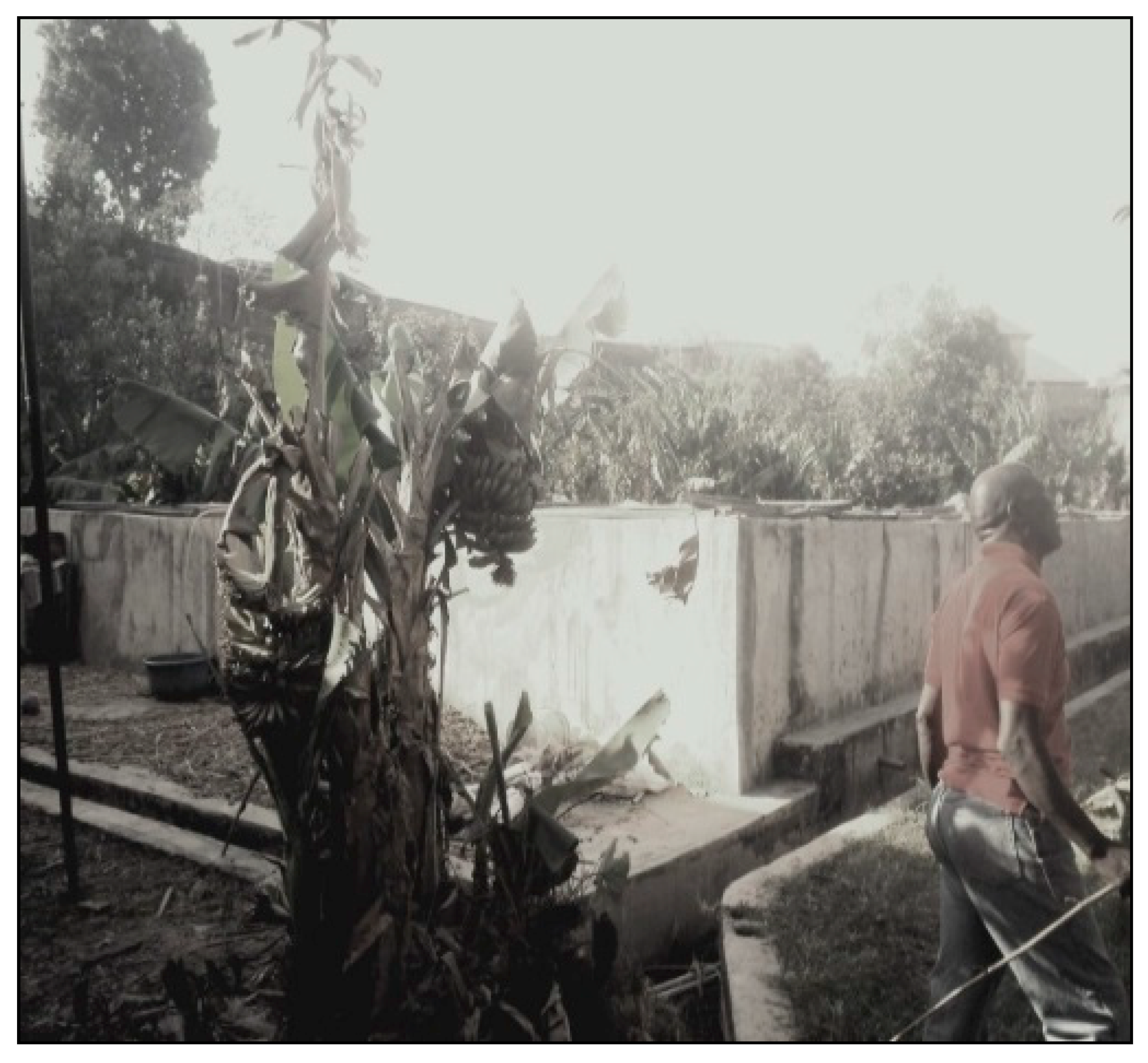 Agriculture 08 00110 g003