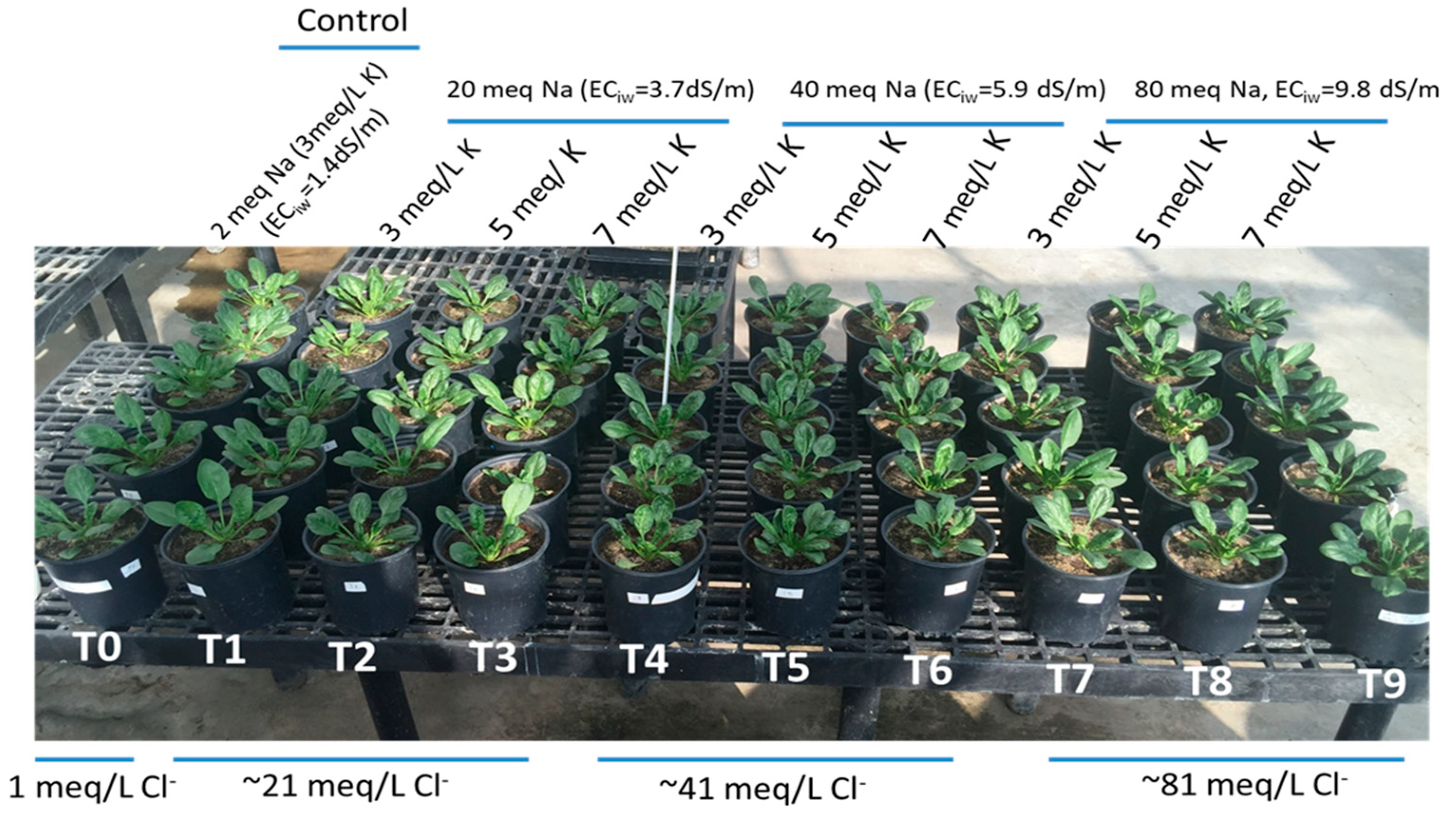 Agriculture 08 00163 g001