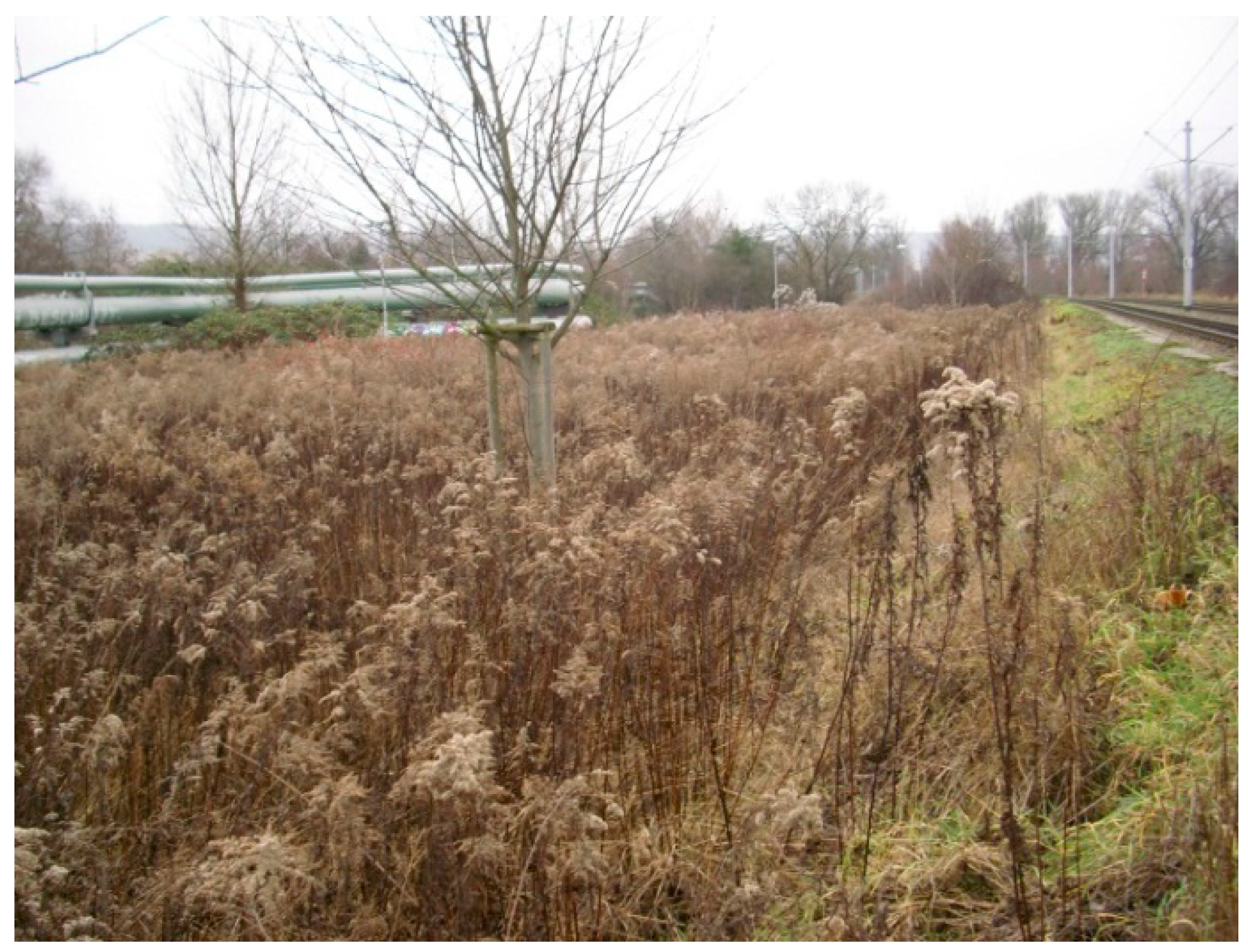 Agriculture 08 00170 g001 Agriculture 08 00170 g001