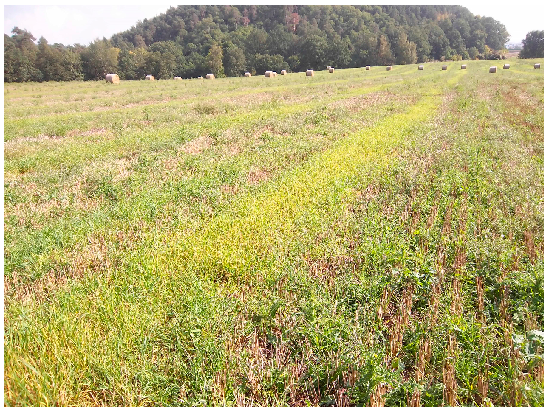 Agriculture 08 00170 g002 Agriculture 08 00170 g002