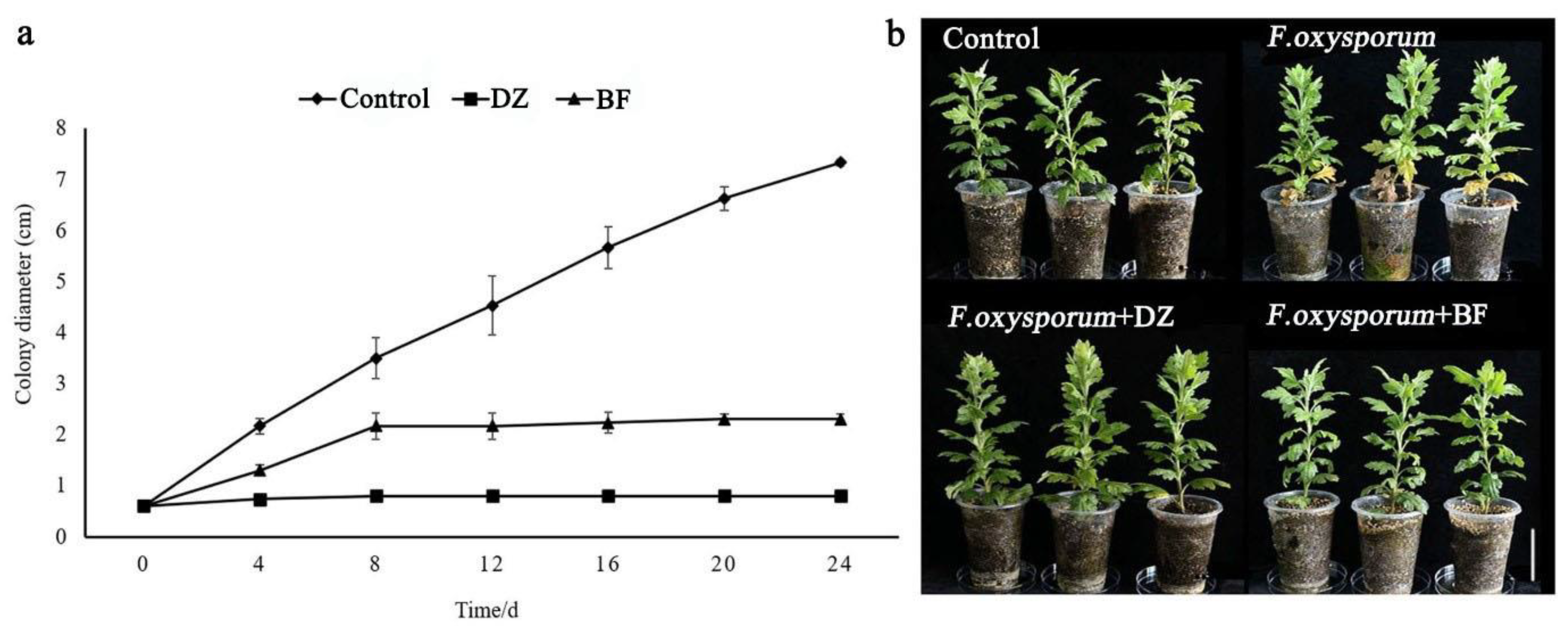 Agriculture 08 00184 g001 Agriculture 08 00184 g001