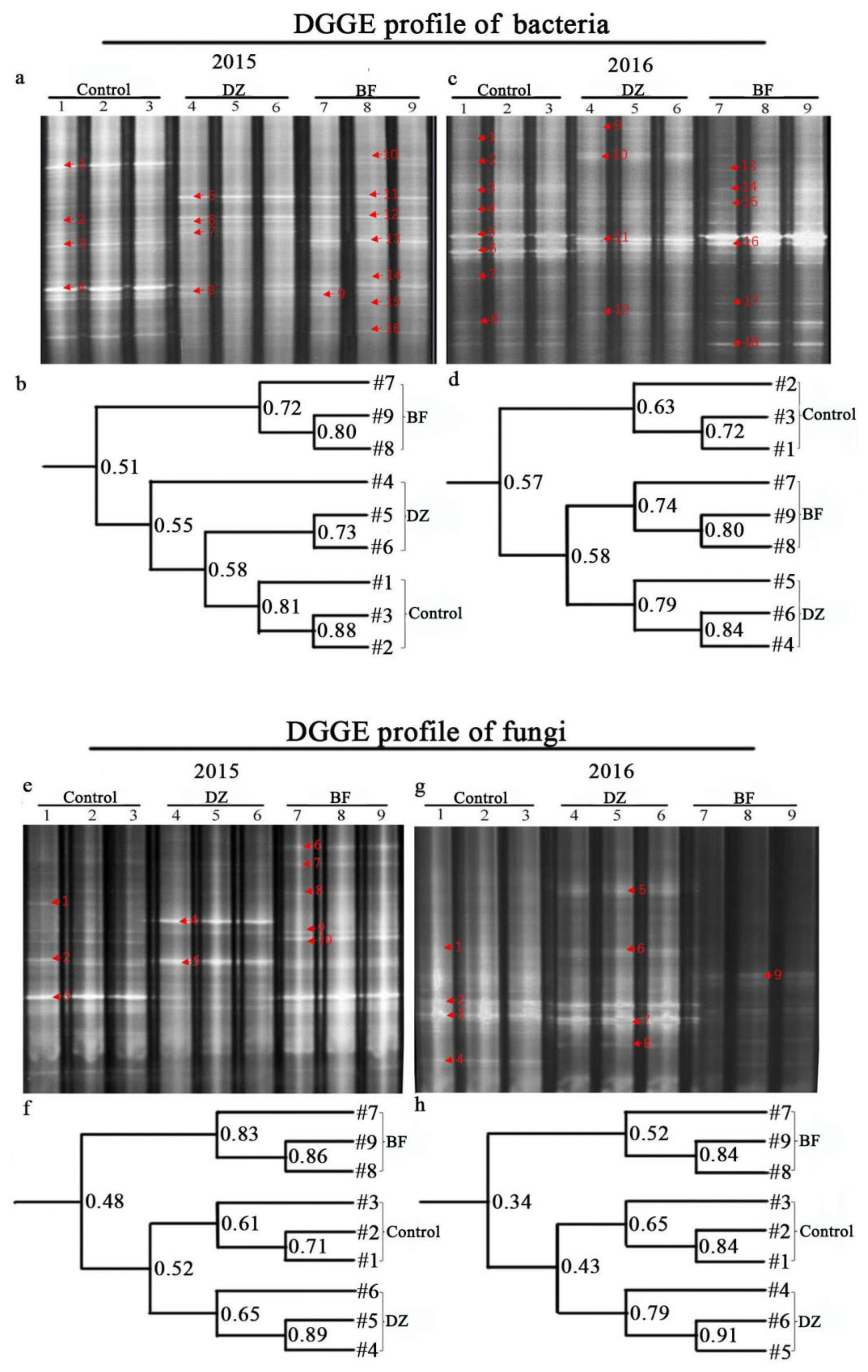 Agriculture 08 00184 g004 Agriculture 08 00184 g004