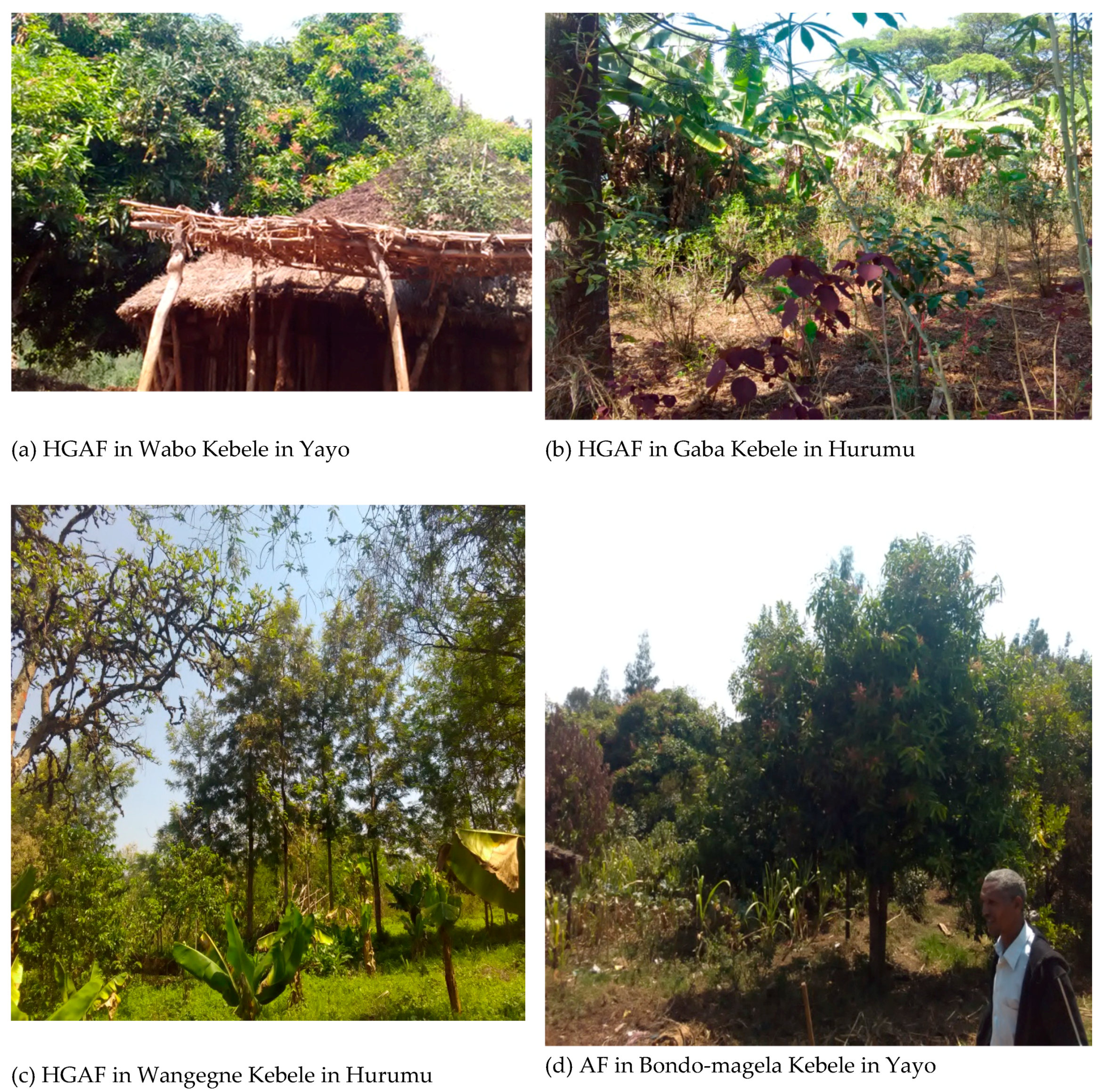 Agriculture 08 00190 g002