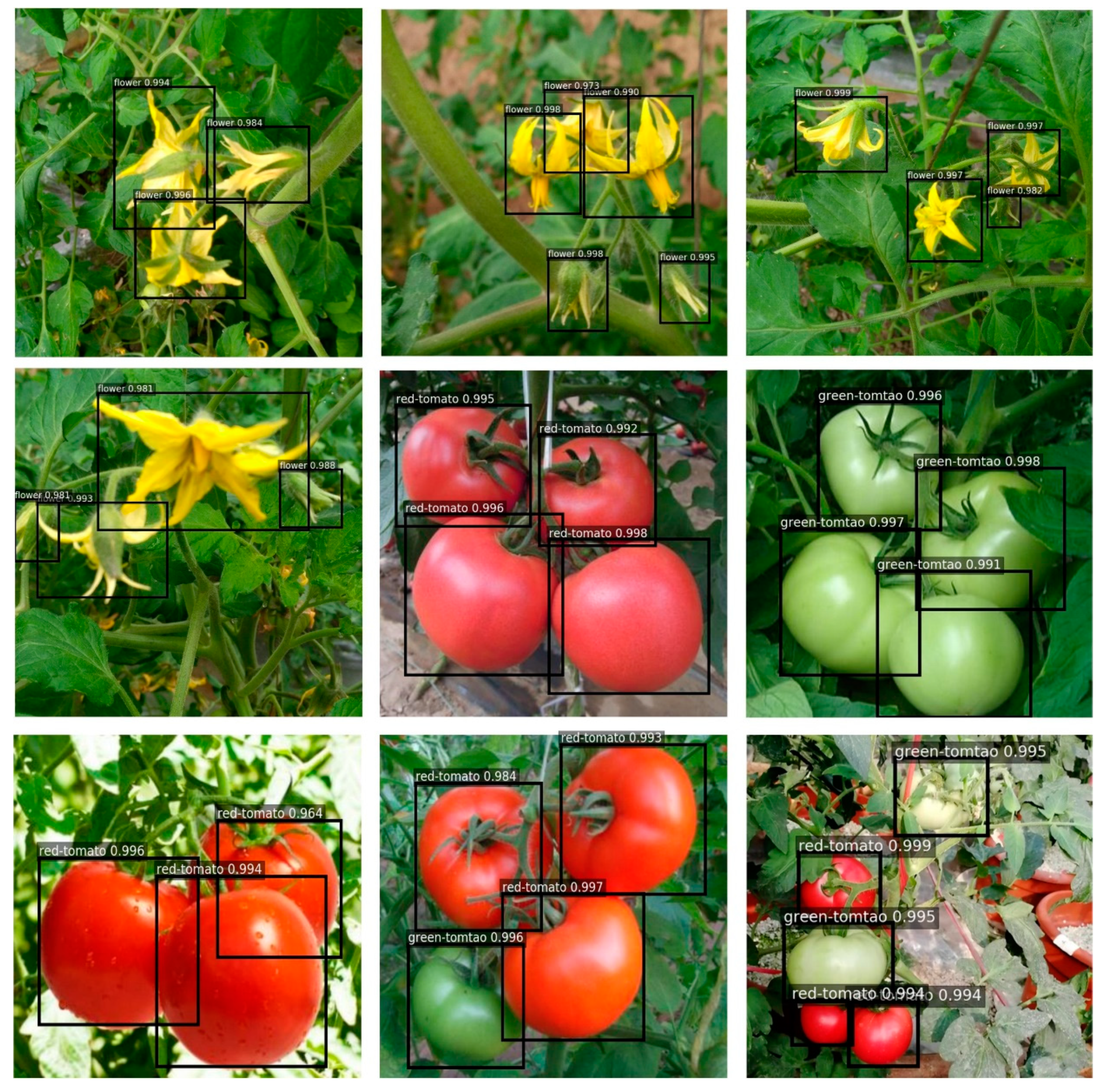 Agriculture 08 00196 g009