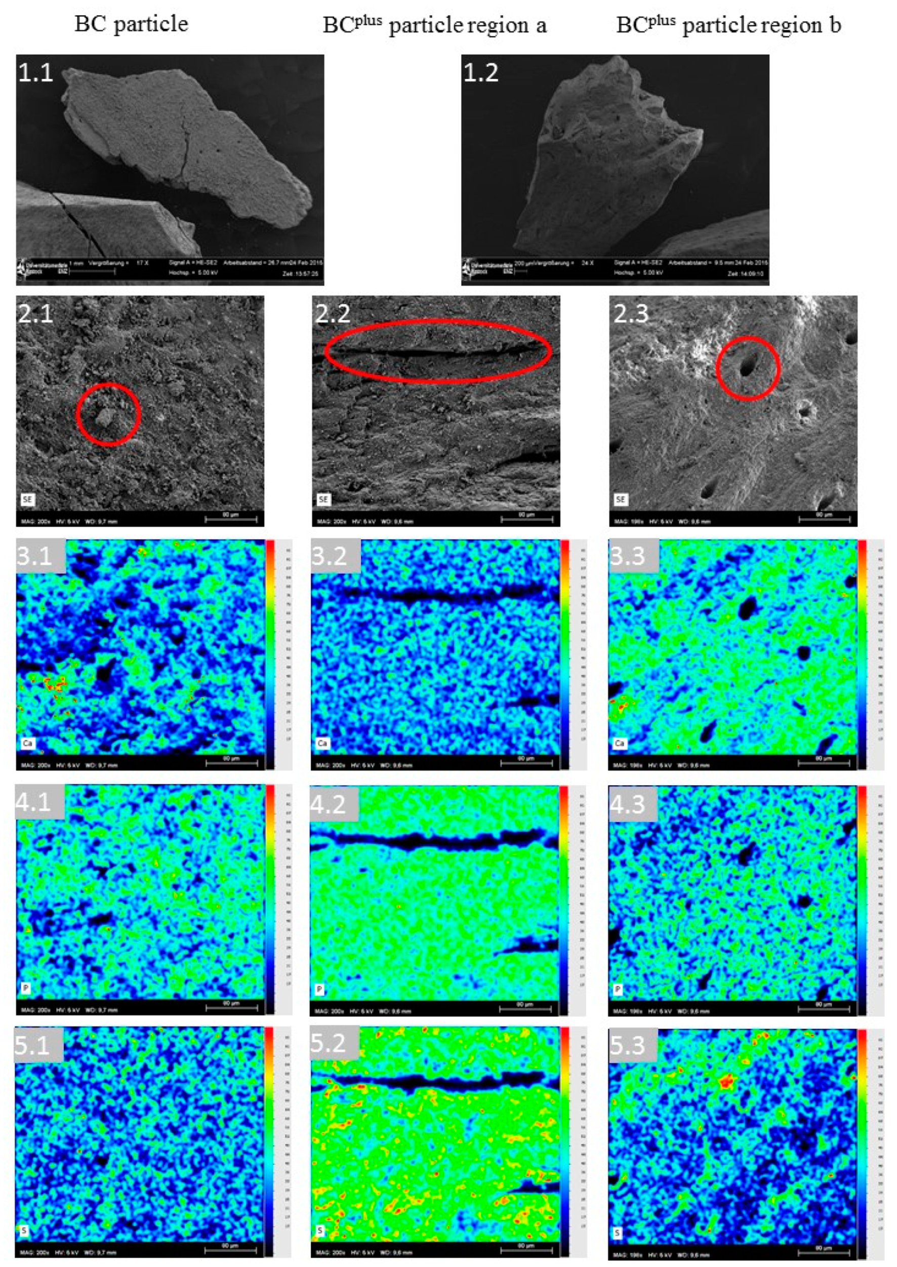 Agriculture 09 00021 g001