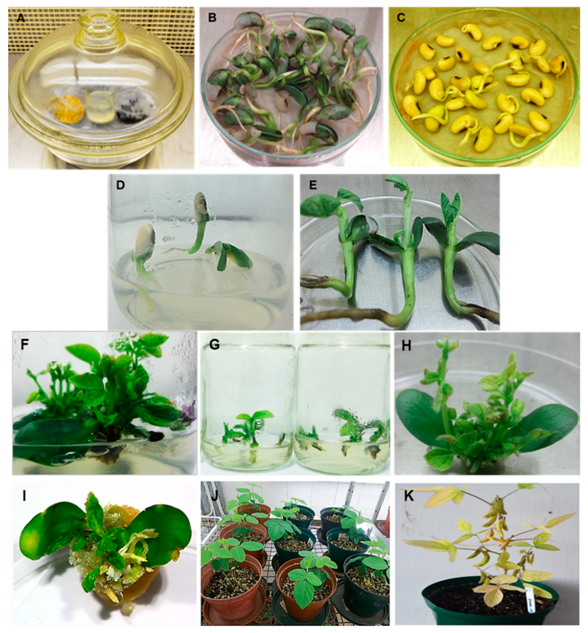 Agriculture 09 00035 g002