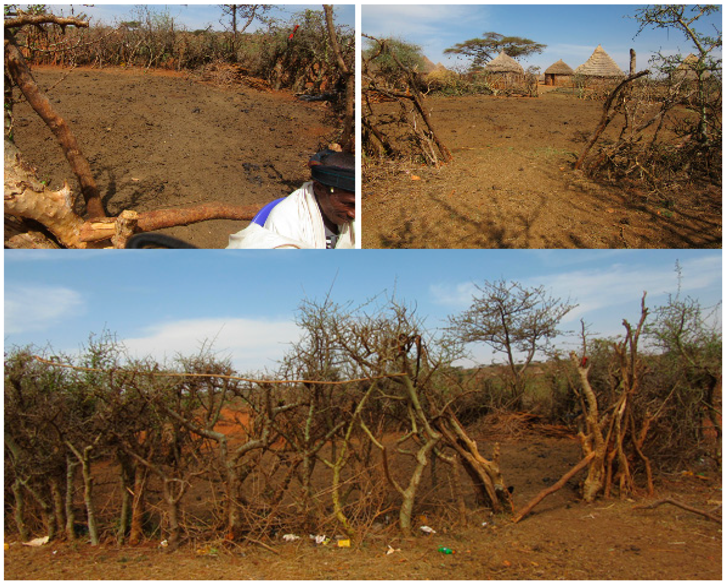 Agriculture 09 00045 g002