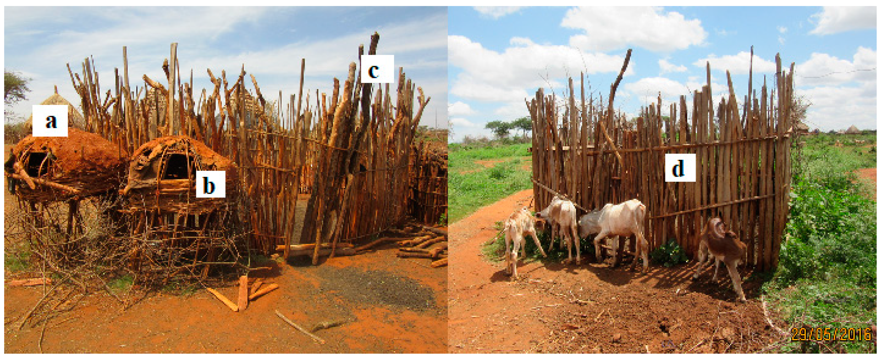 Agriculture 09 00045 g003