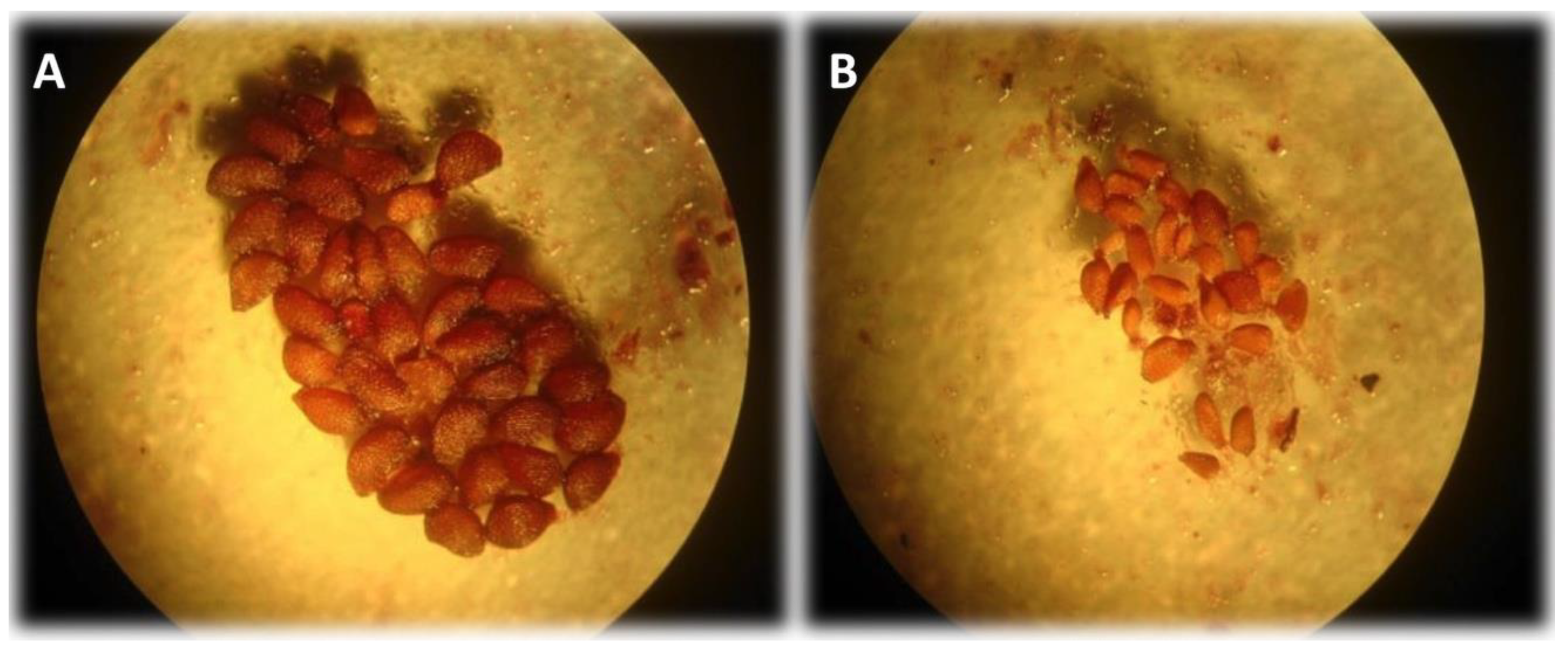 Agriculture 09 00069 g001 Agriculture 09 00069 g001