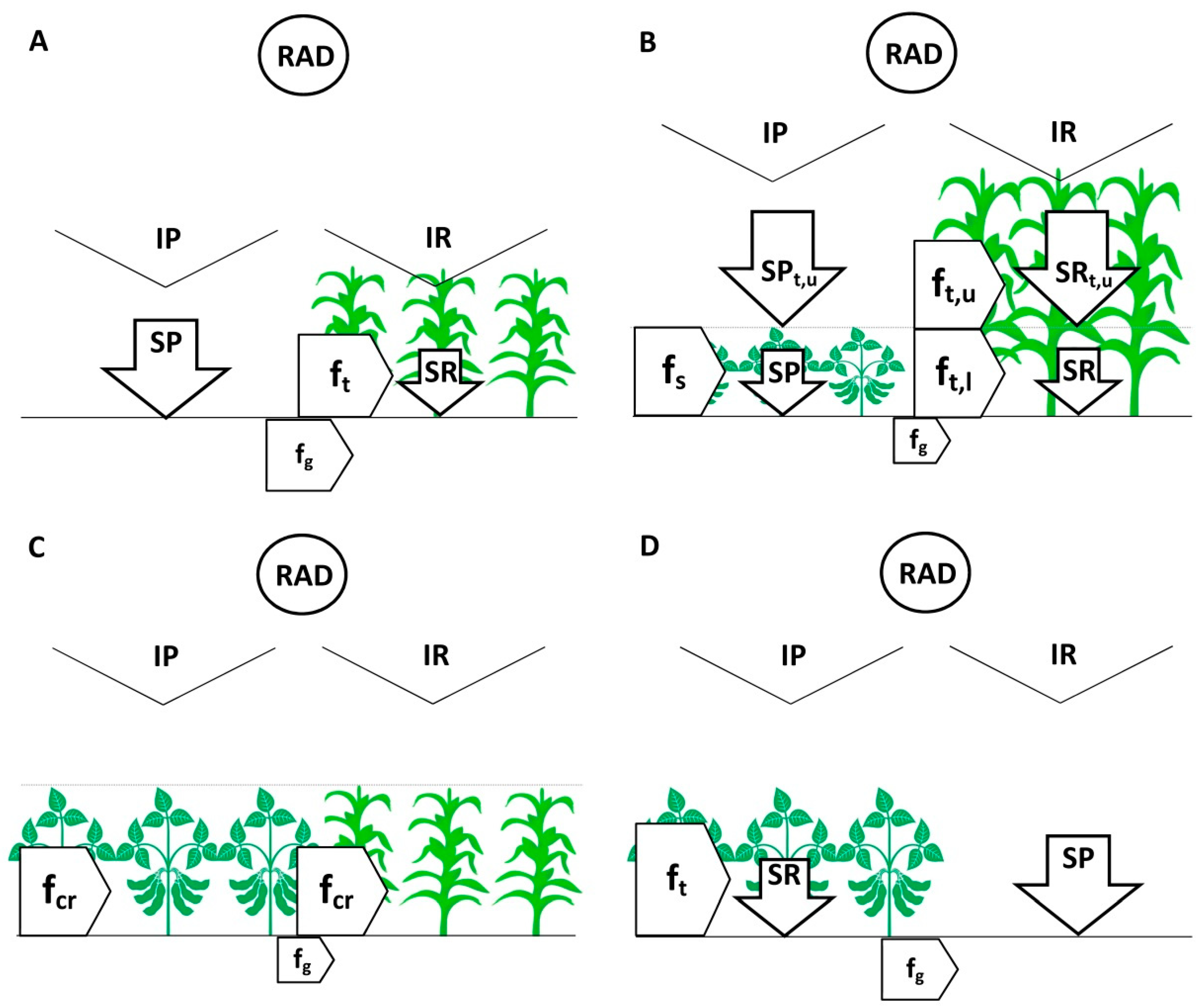 Agriculture 09 00126 g003 Agriculture 09 00126 g003