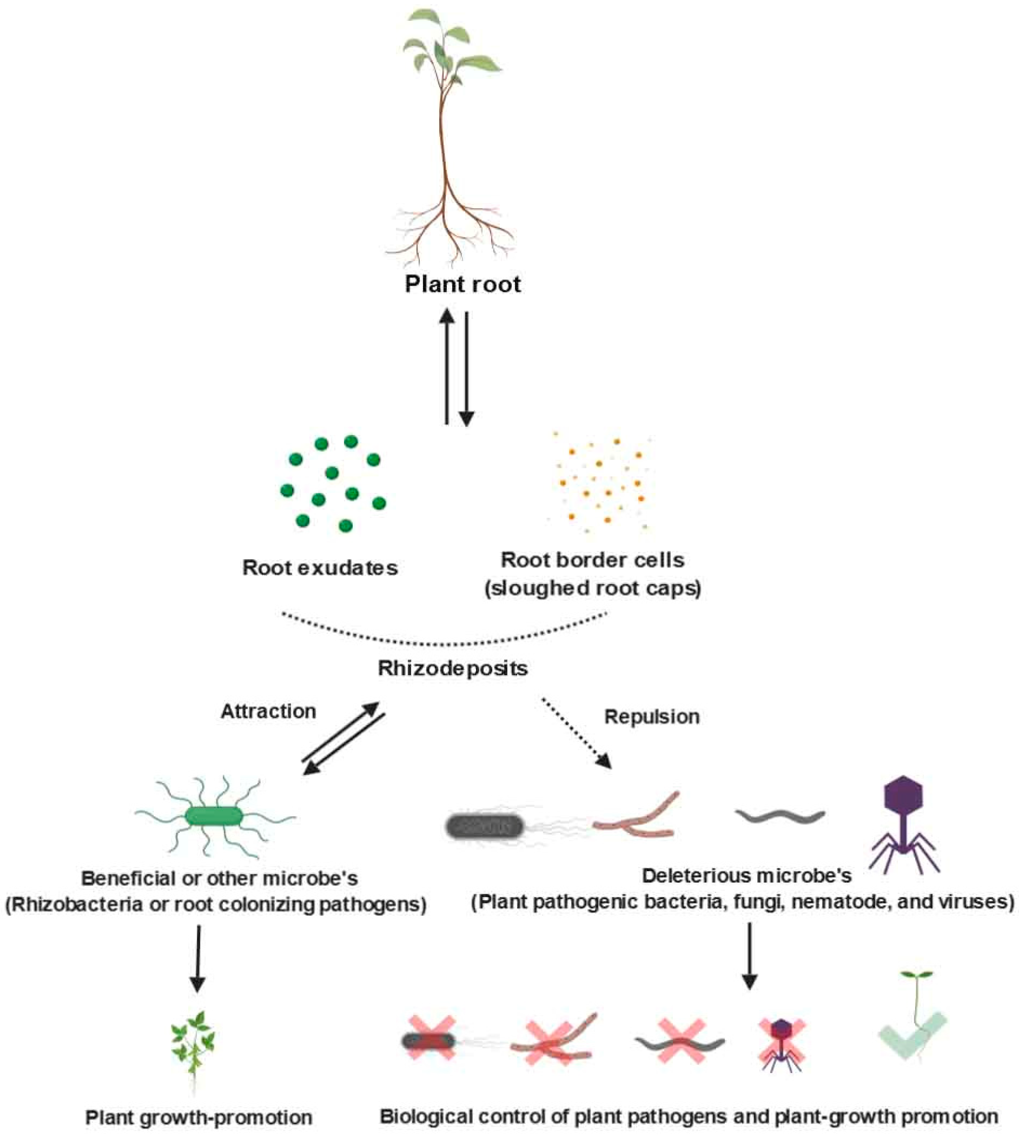 Agriculture 09 00142 g002