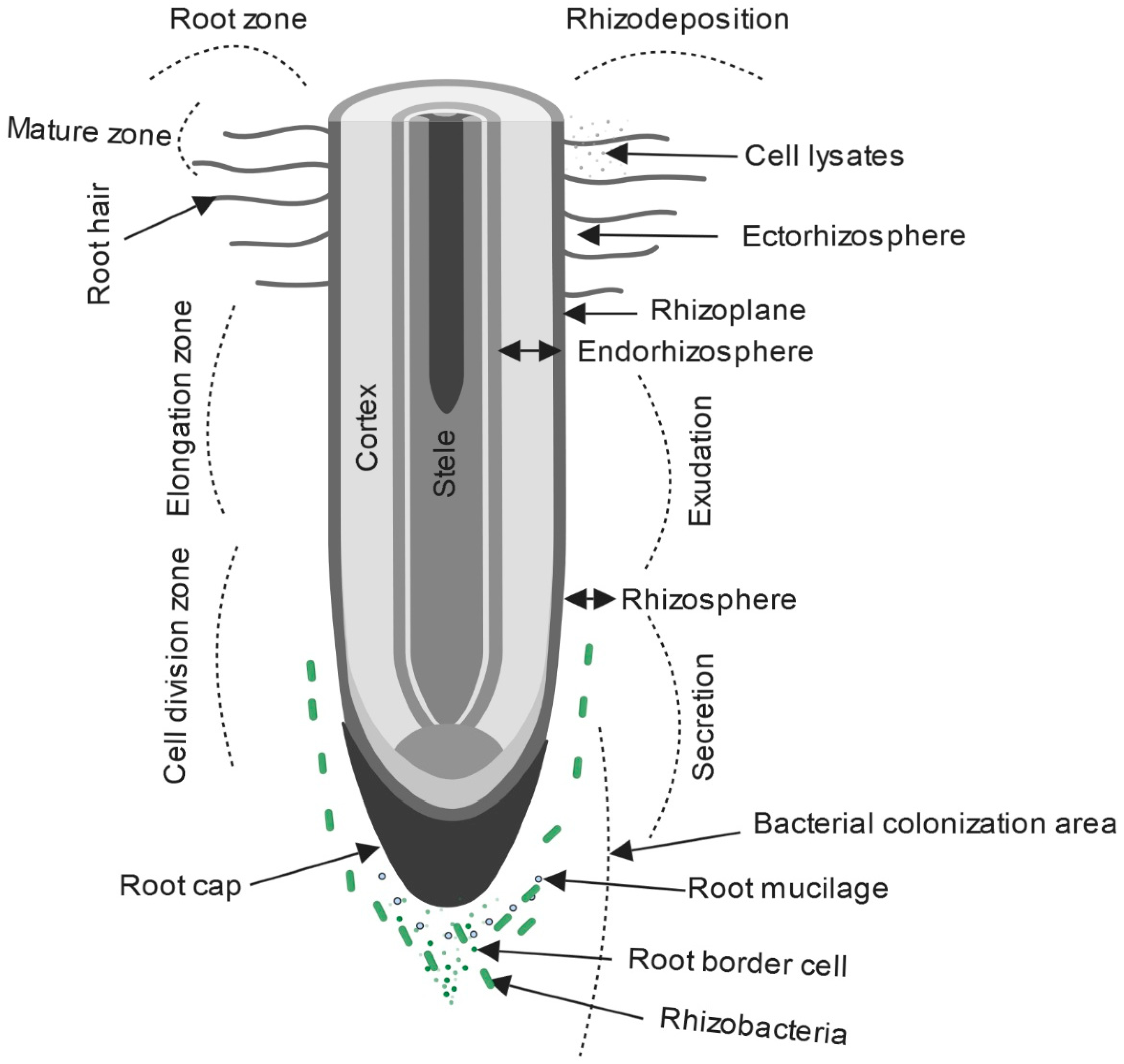 Agriculture 09 00142 g003
