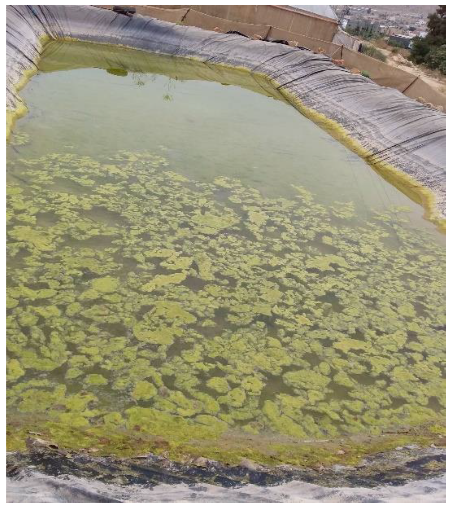 Agriculture 09 00151 g001