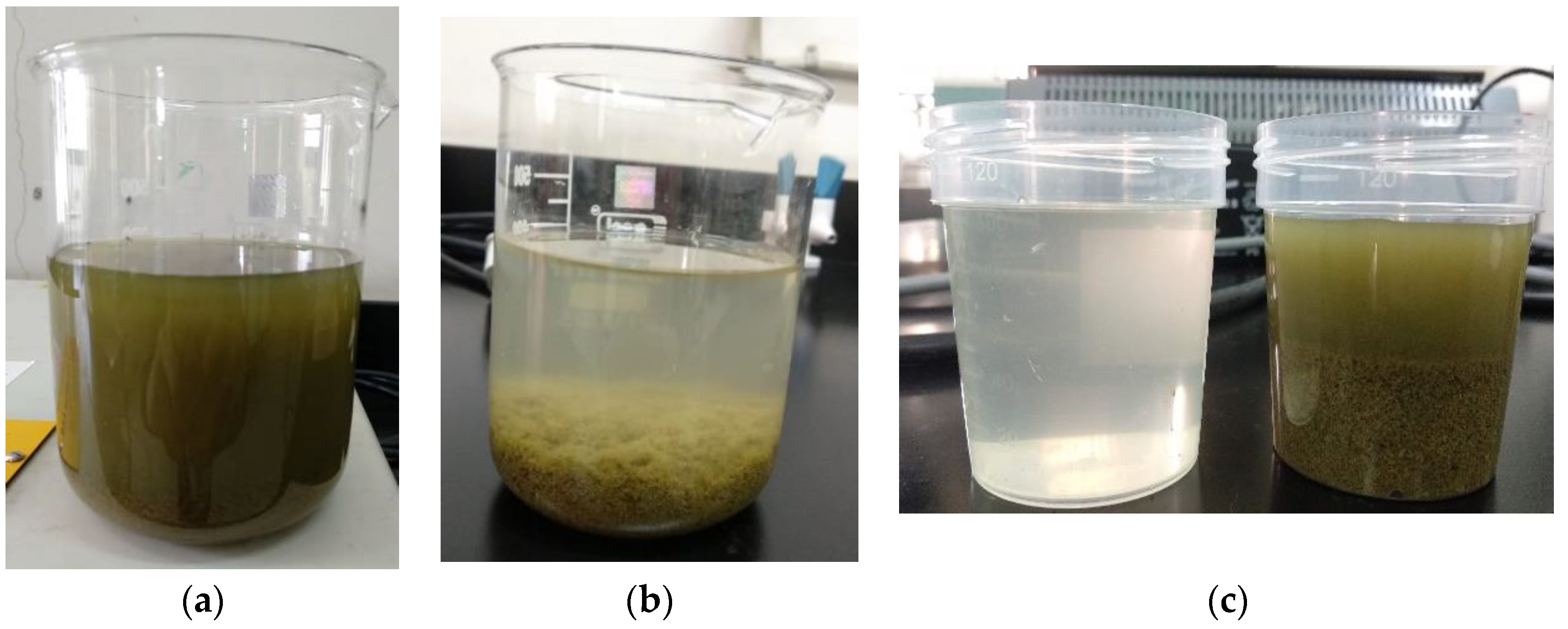 Agriculture 09 00151 g005