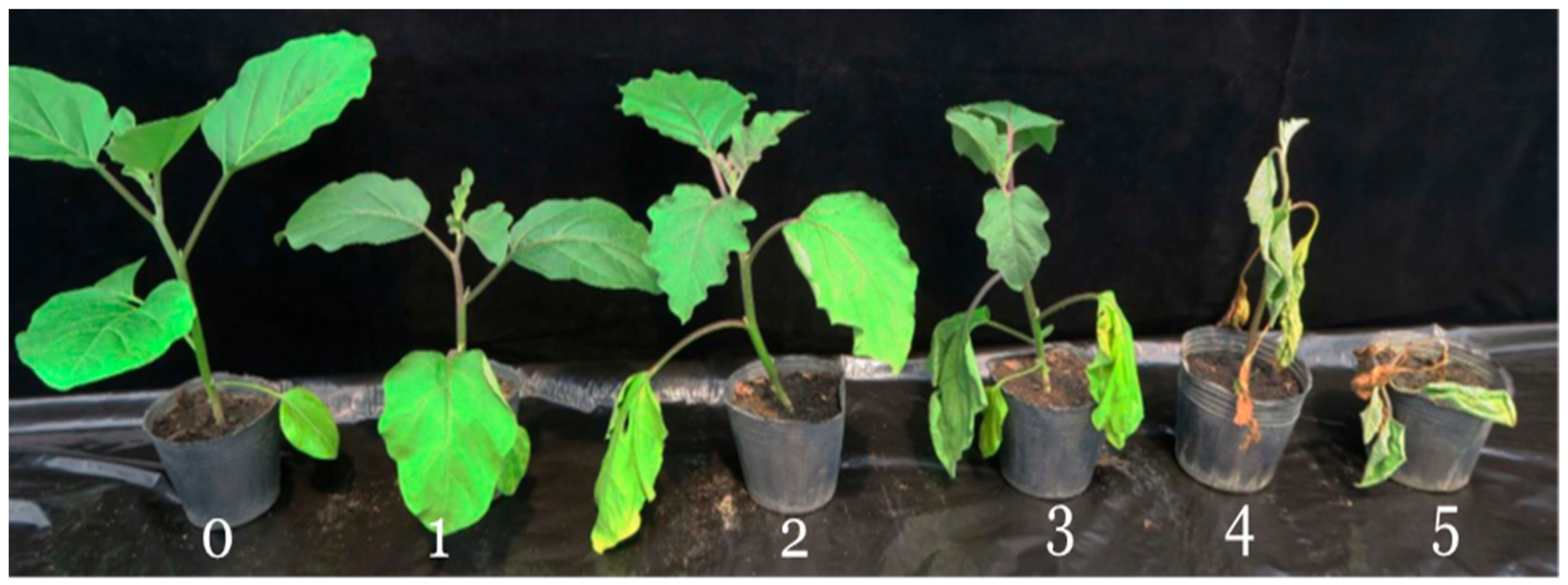 Agriculture 09 00157 g001