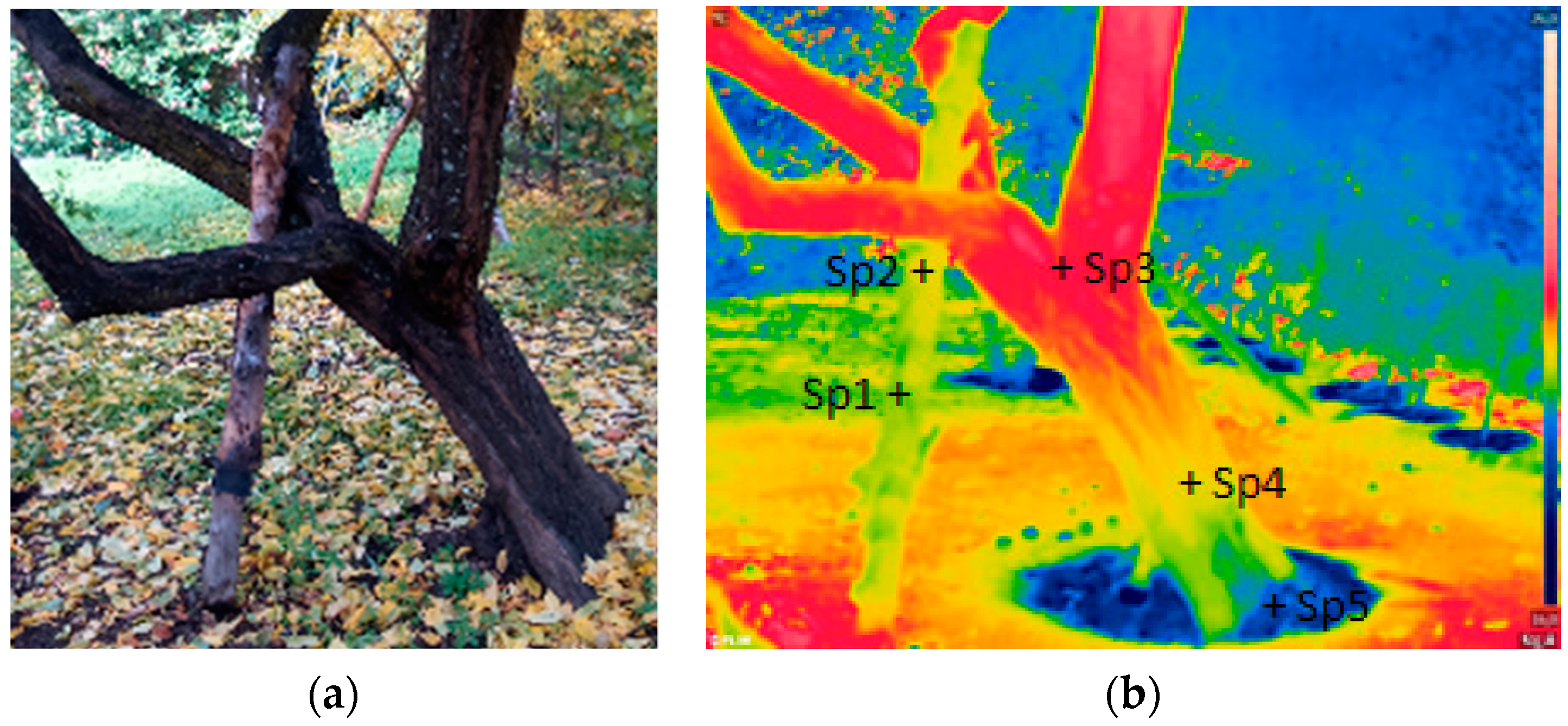 Agriculture 09 00171 g002
