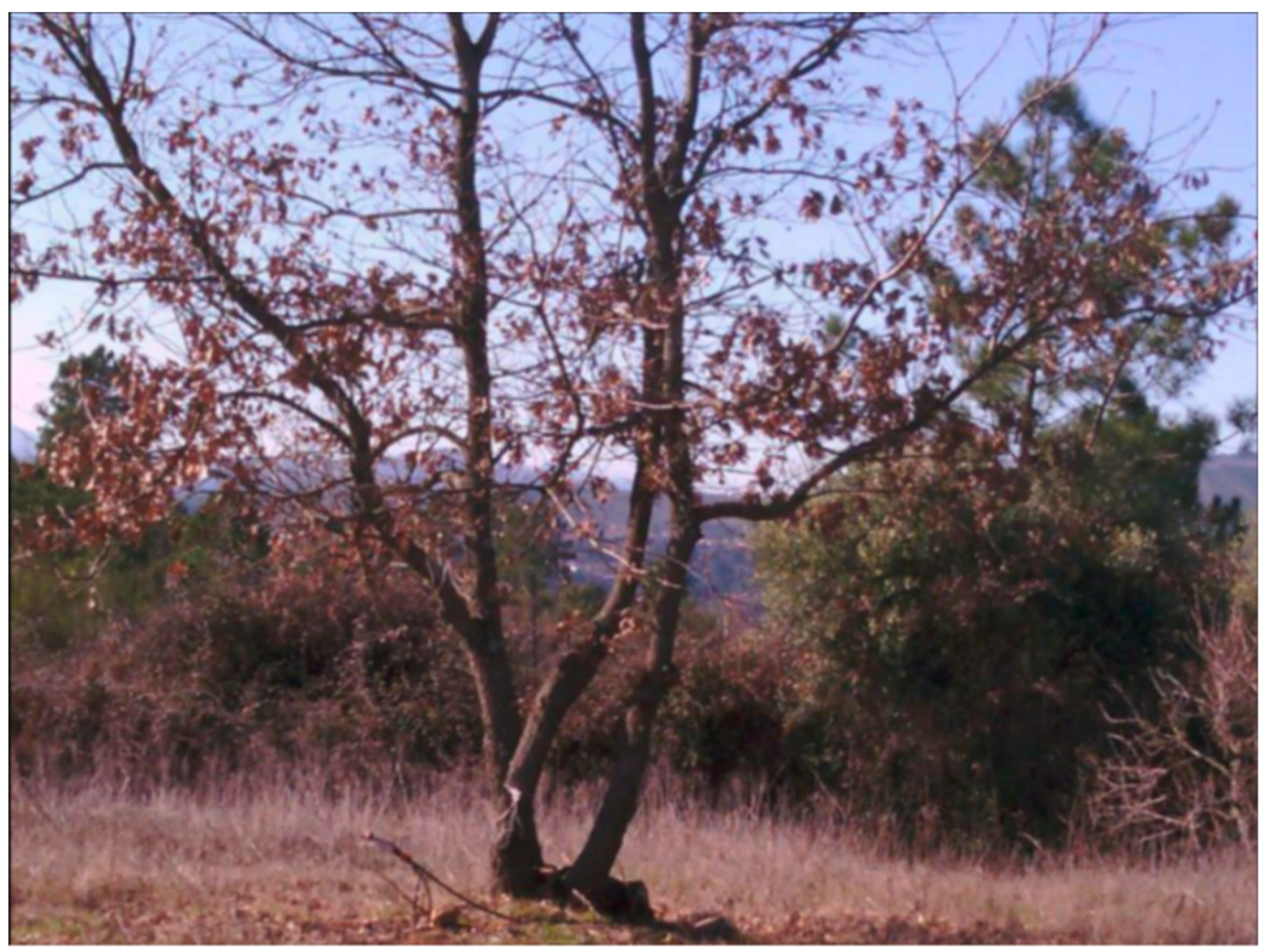 Agriculture 09 00171 g004