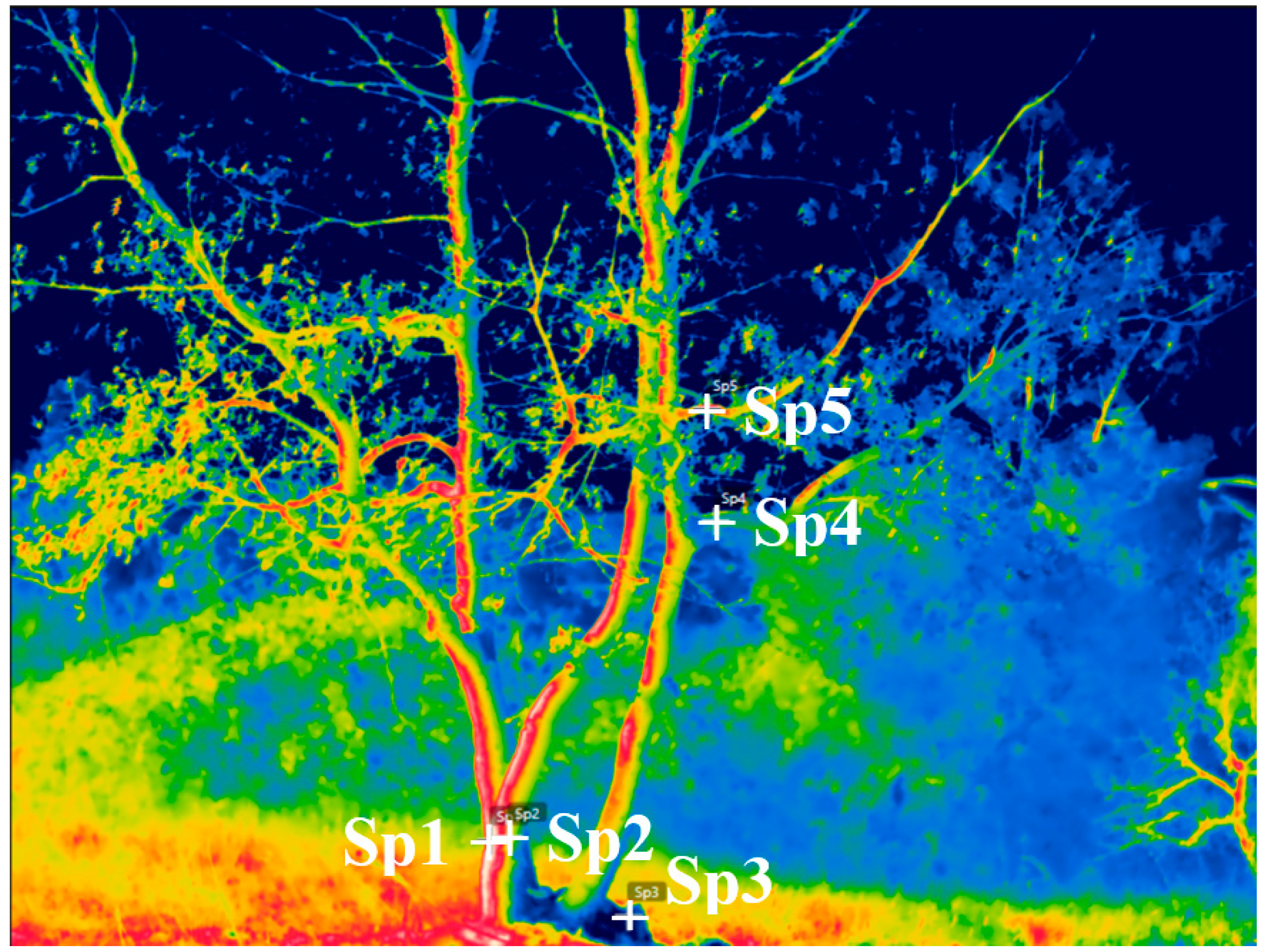 Agriculture 09 00171 g006
