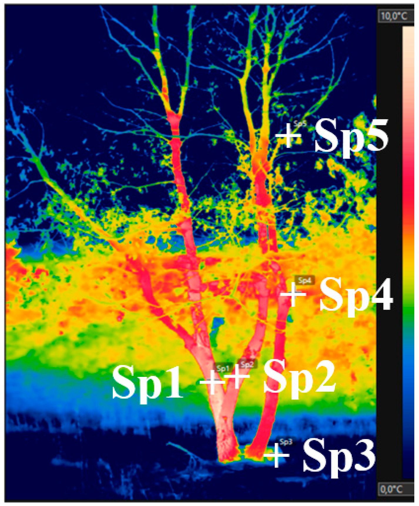 Agriculture 09 00171 g007