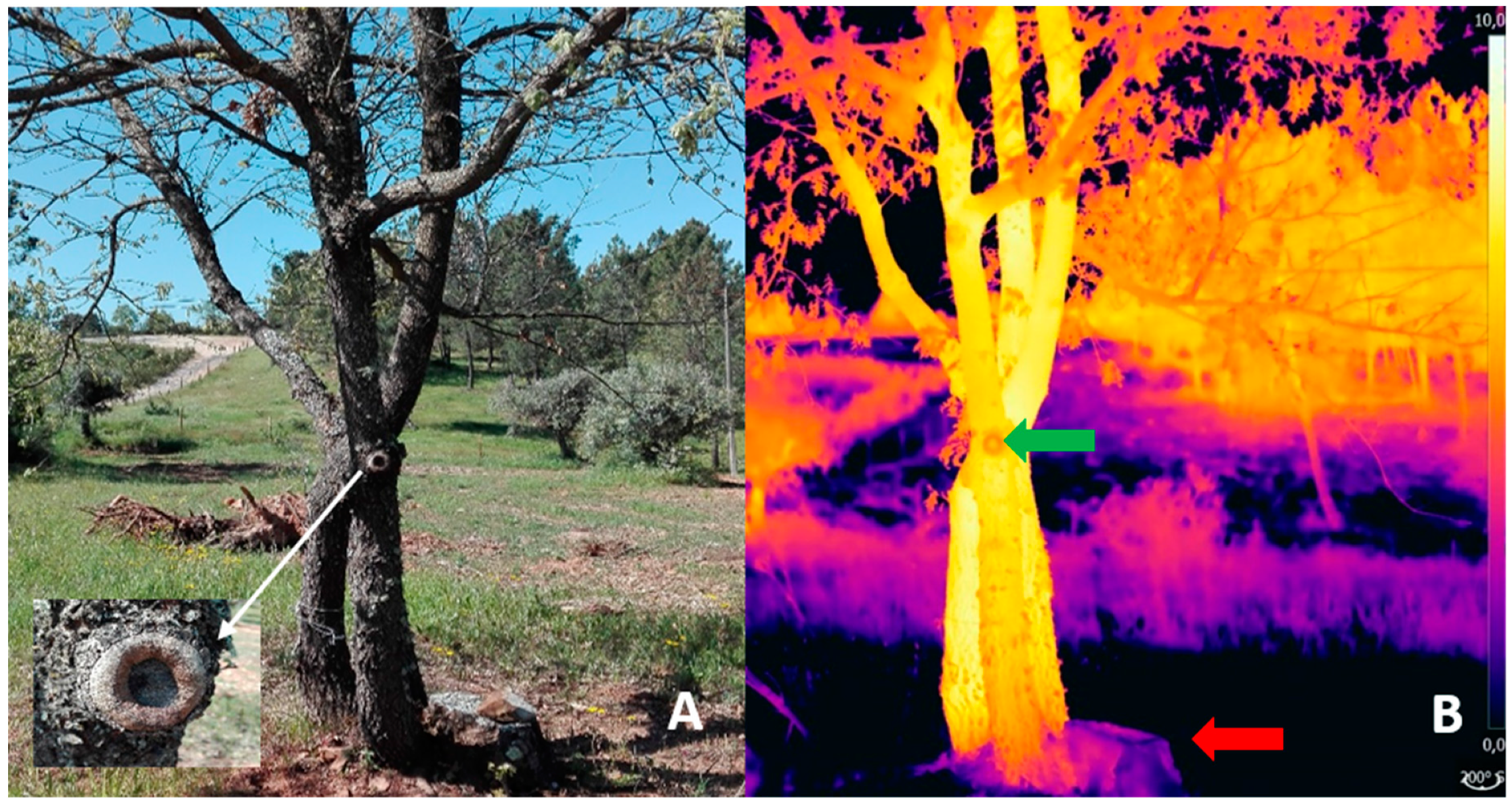 Agriculture 09 00171 g008