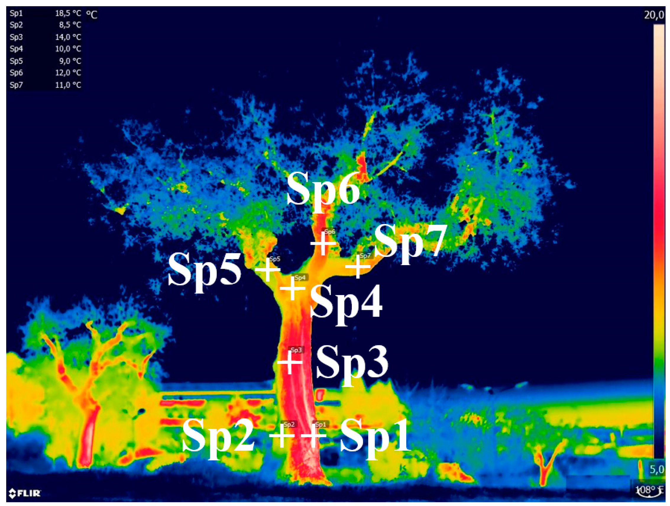 Agriculture 09 00171 g009