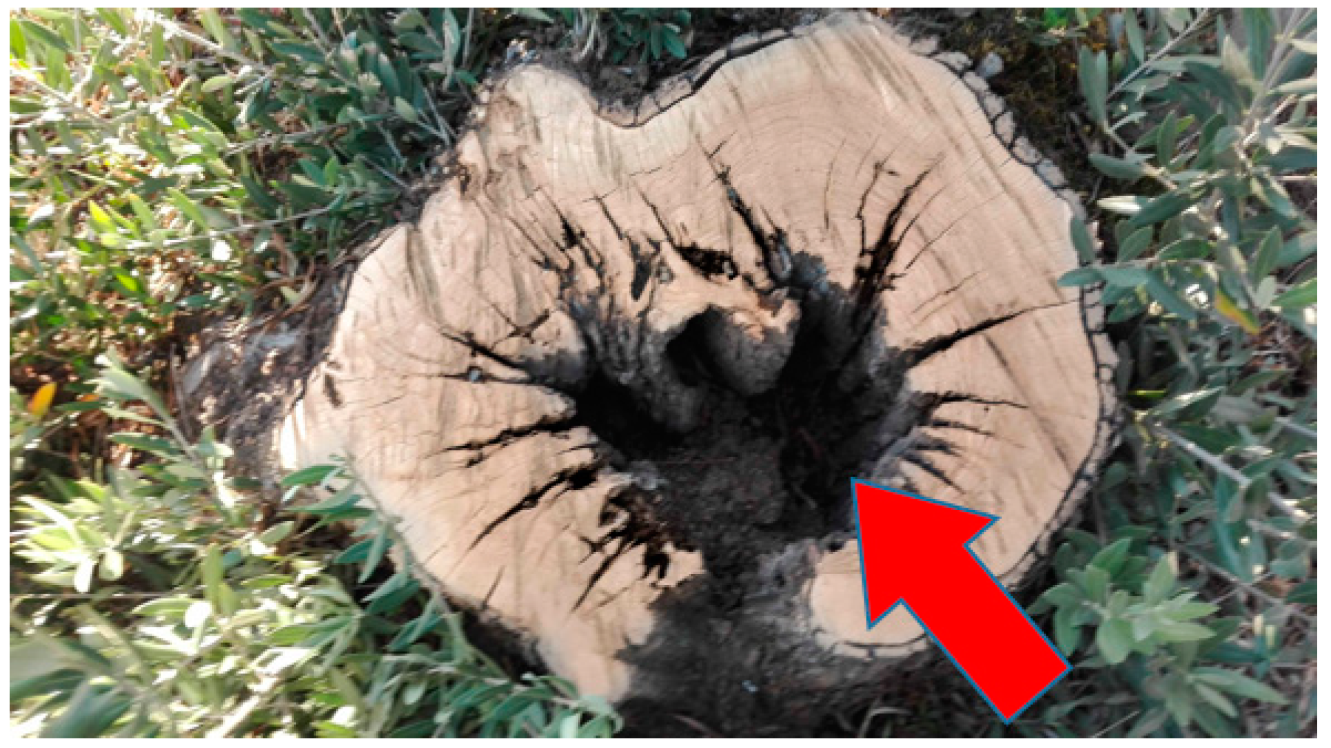 Agriculture 09 00171 g010