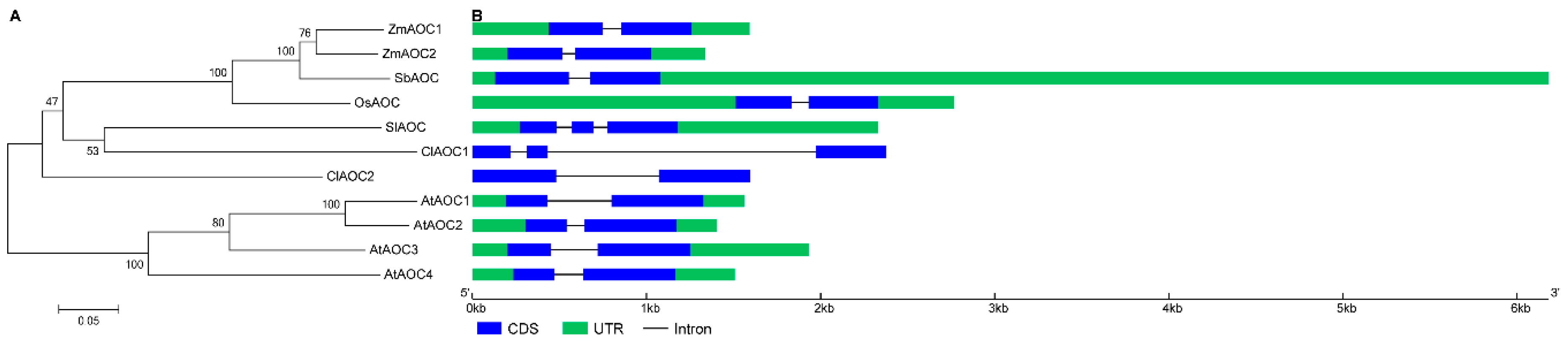 Agriculture 09 00225 g004