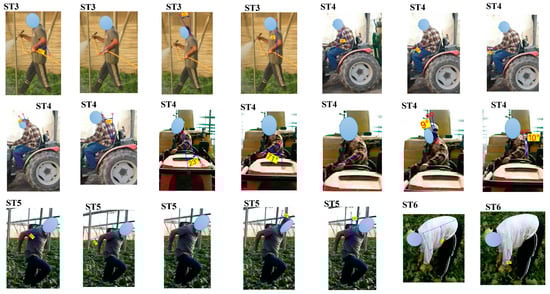 Agriculture 09 00236 g0a1b Agriculture 09 00236 g0a1b