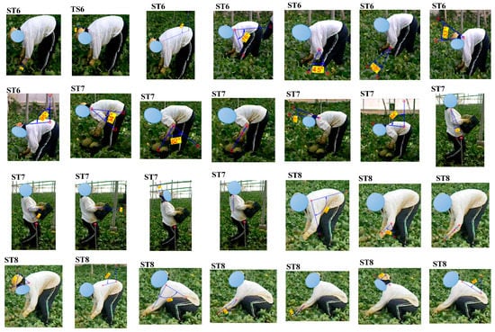 Agriculture 09 00236 g0a1c Agriculture 09 00236 g0a1c