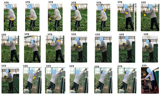 Agriculture 09 00236 g0a1d Agriculture 09 00236 g0a1d