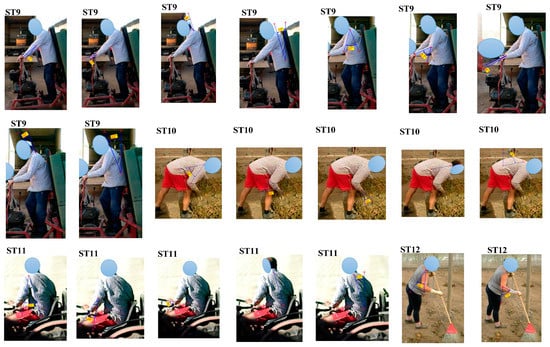 Agriculture 09 00236 g0a1e Agriculture 09 00236 g0a1e