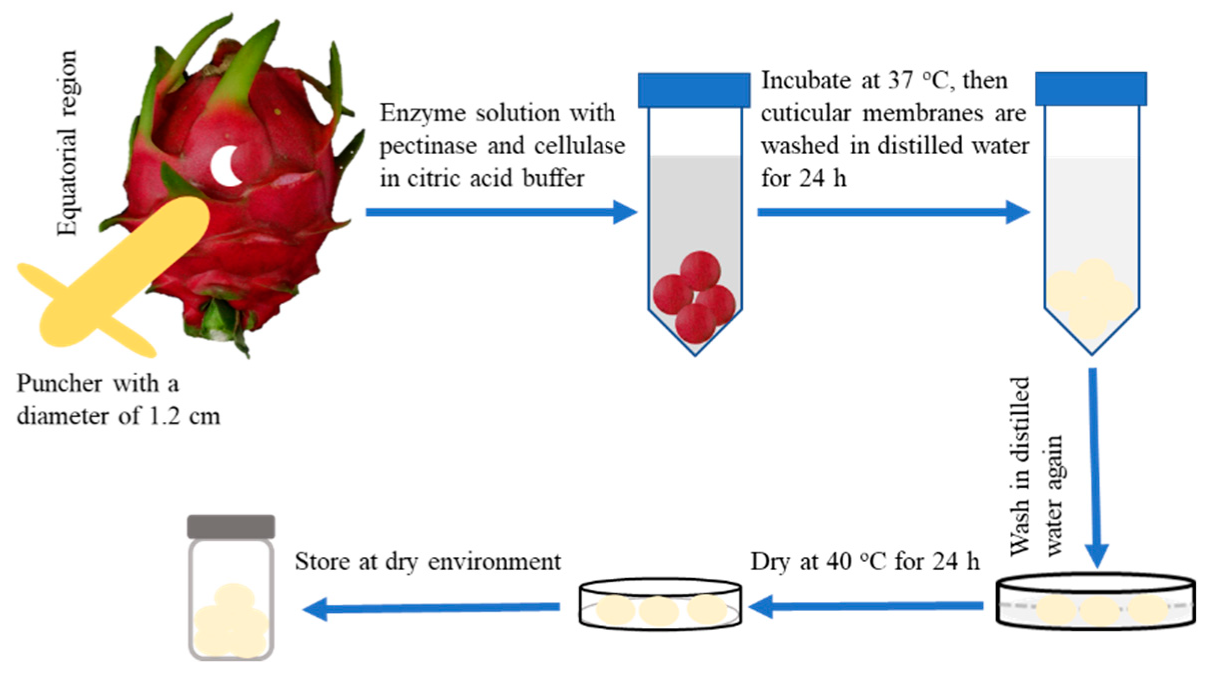 Agriculture 09 00250 g001 Agriculture 09 00250 g001
