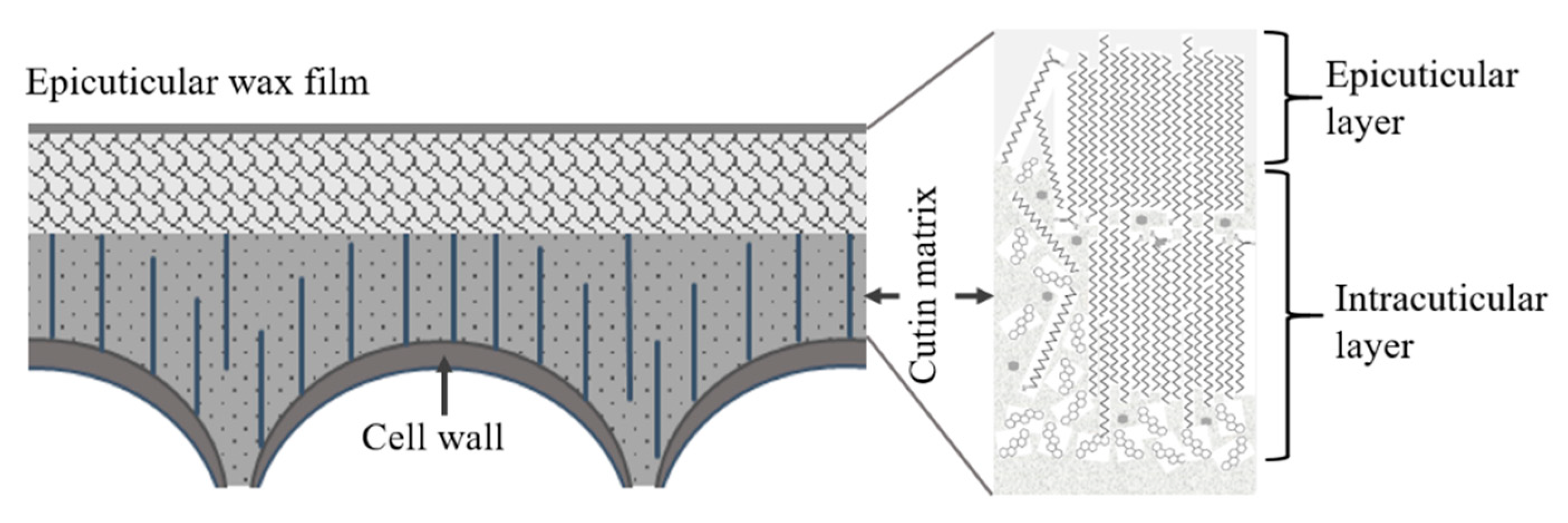 Agriculture 09 00250 g007 Agriculture 09 00250 g007