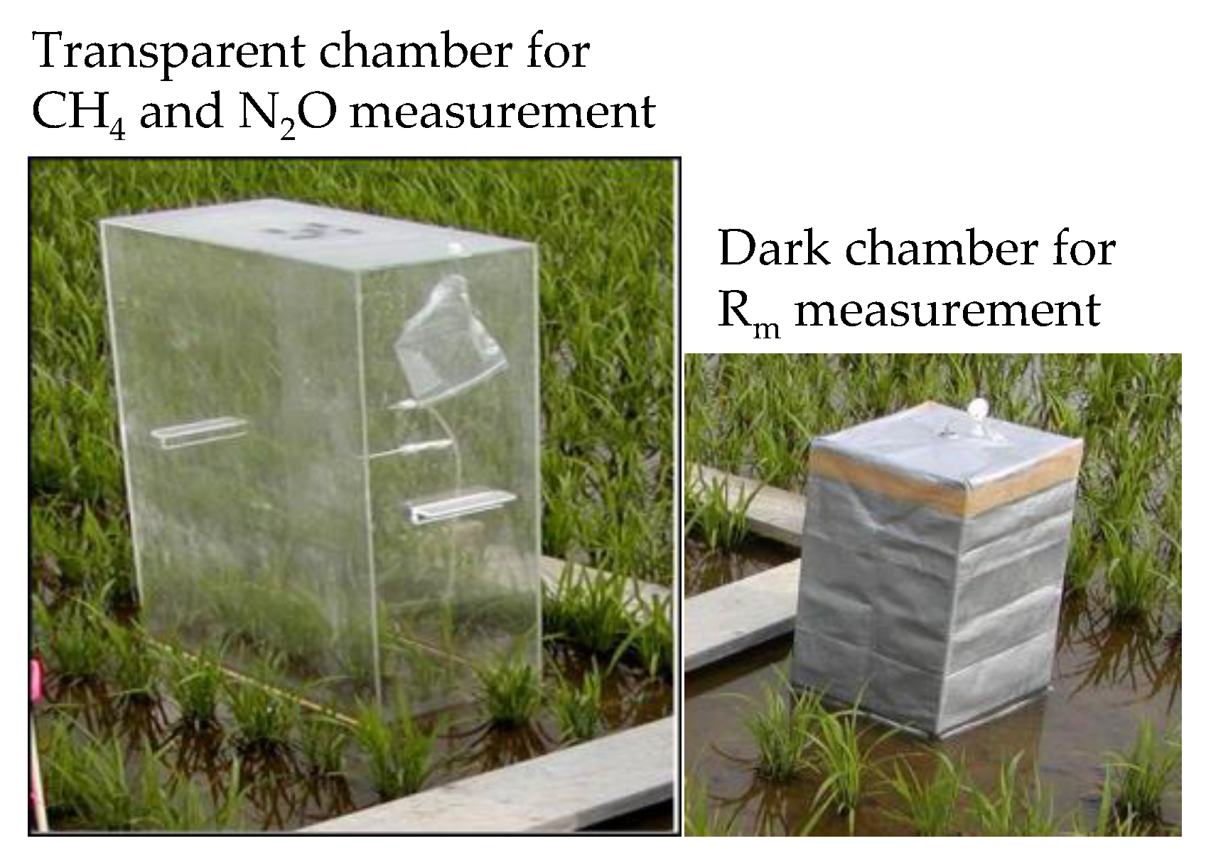 Agriculture 10 00006 g001 Agriculture 10 00006 g001