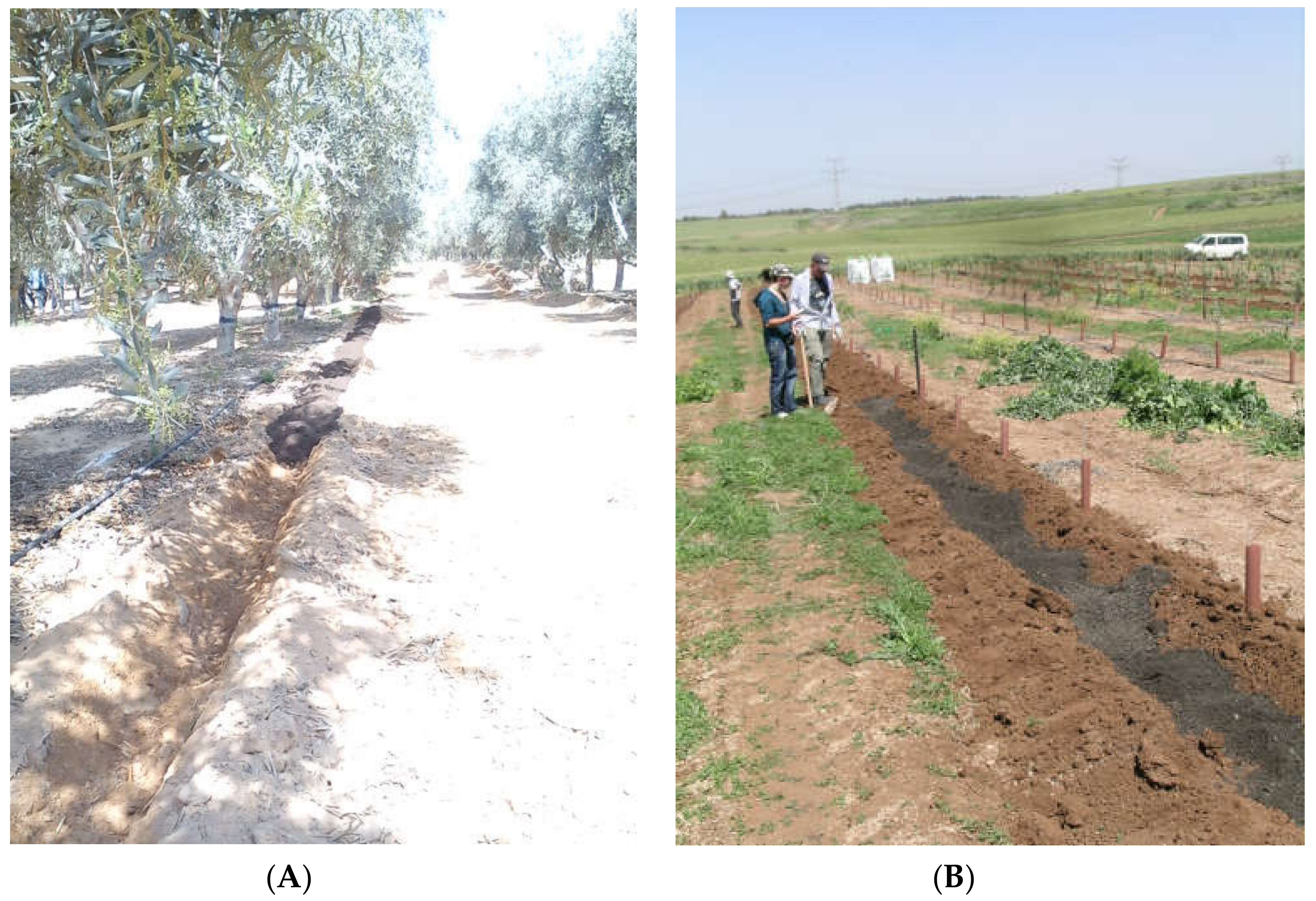 Agriculture 10 00011 g004