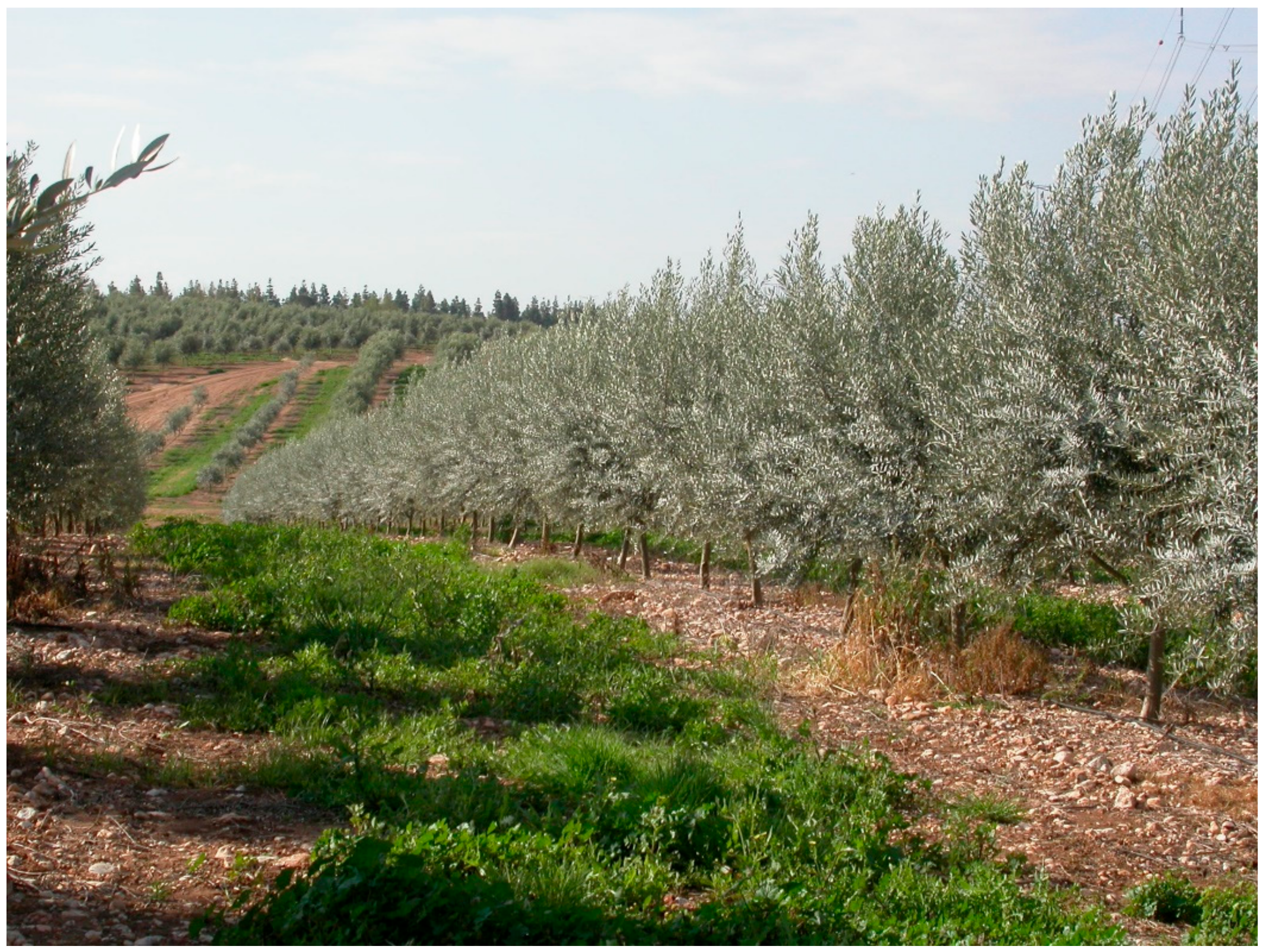 Agriculture 10 00011 g005