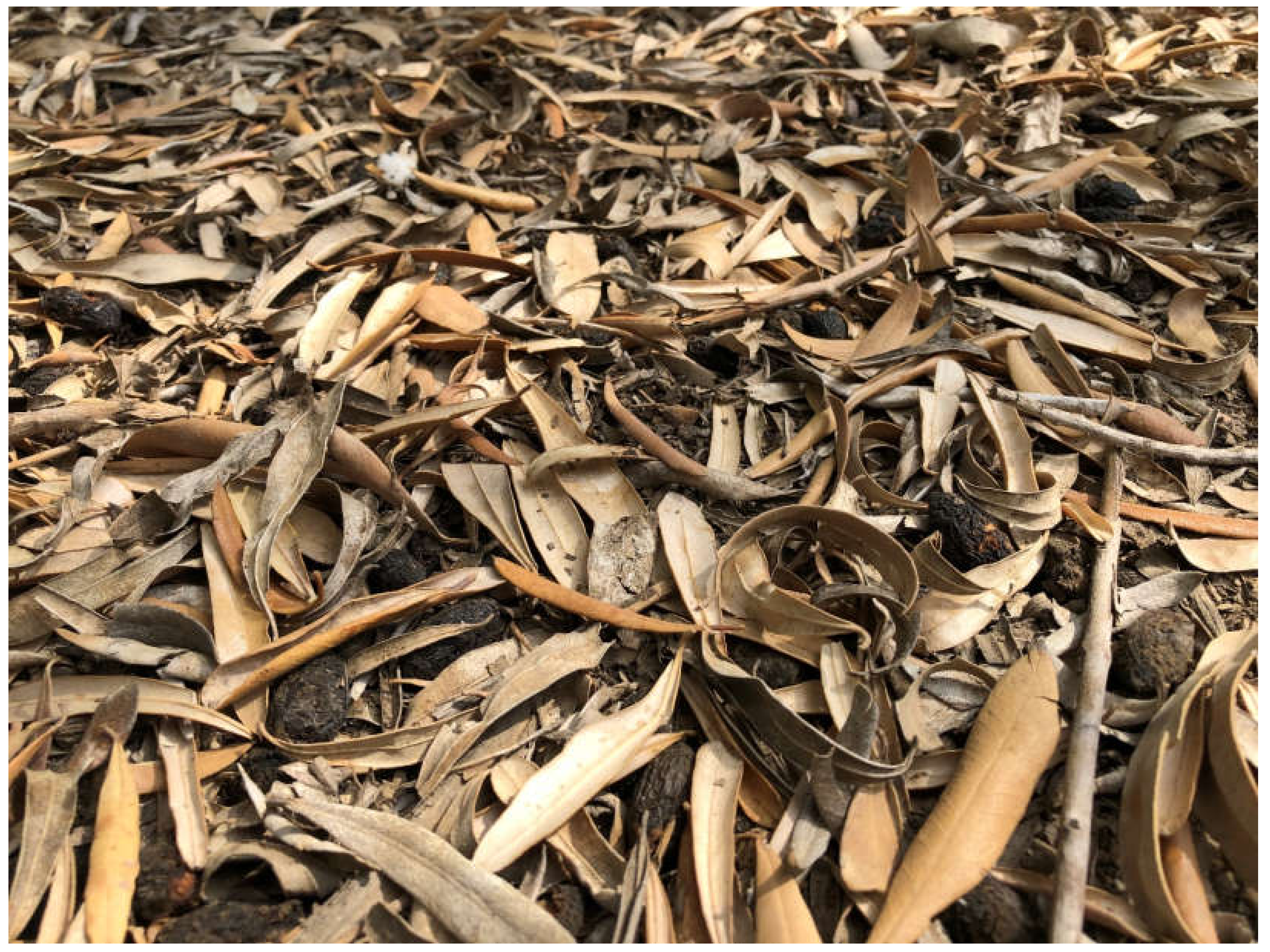 Agriculture 10 00011 g006