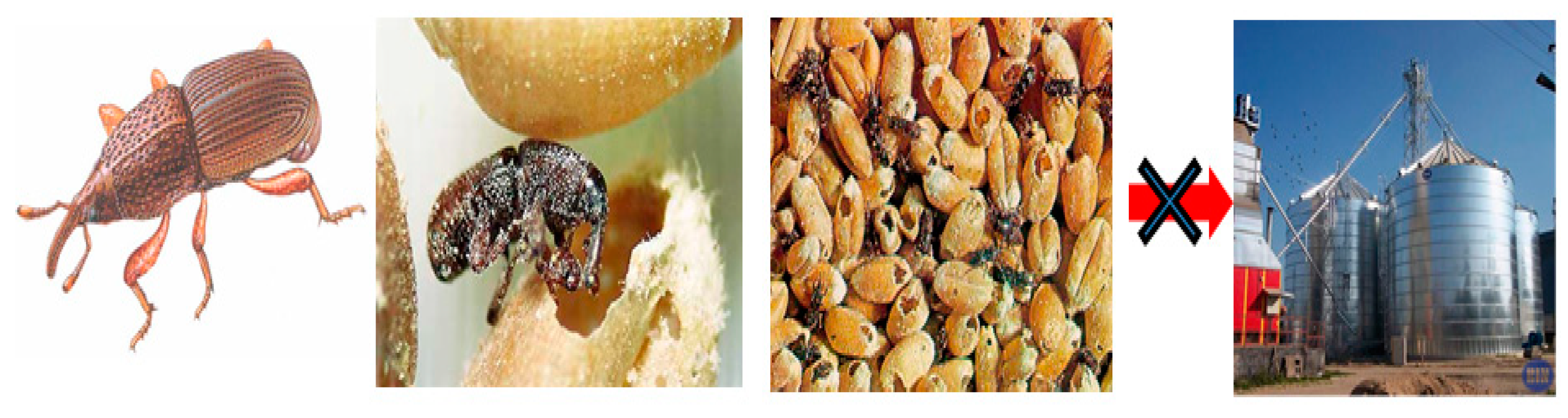 Agriculture 10 00025 g001