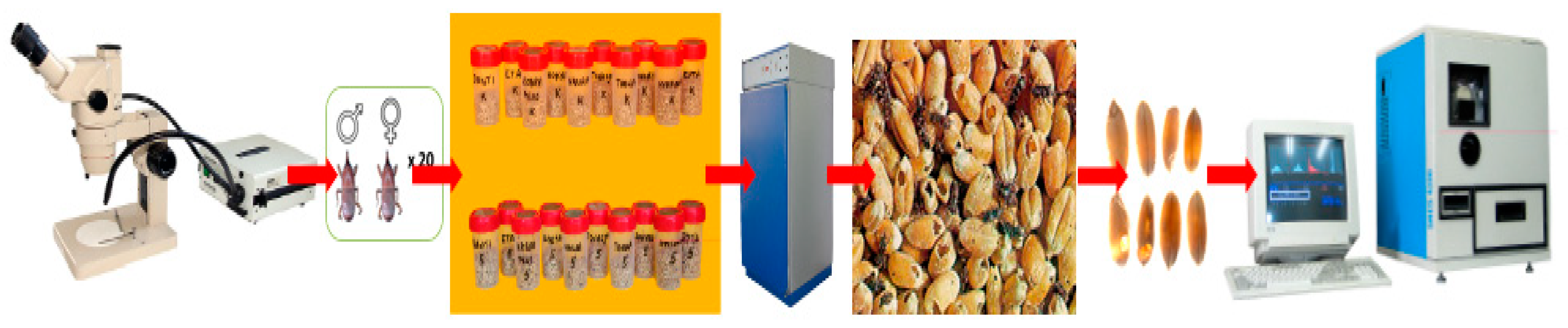 Agriculture 10 00025 g002