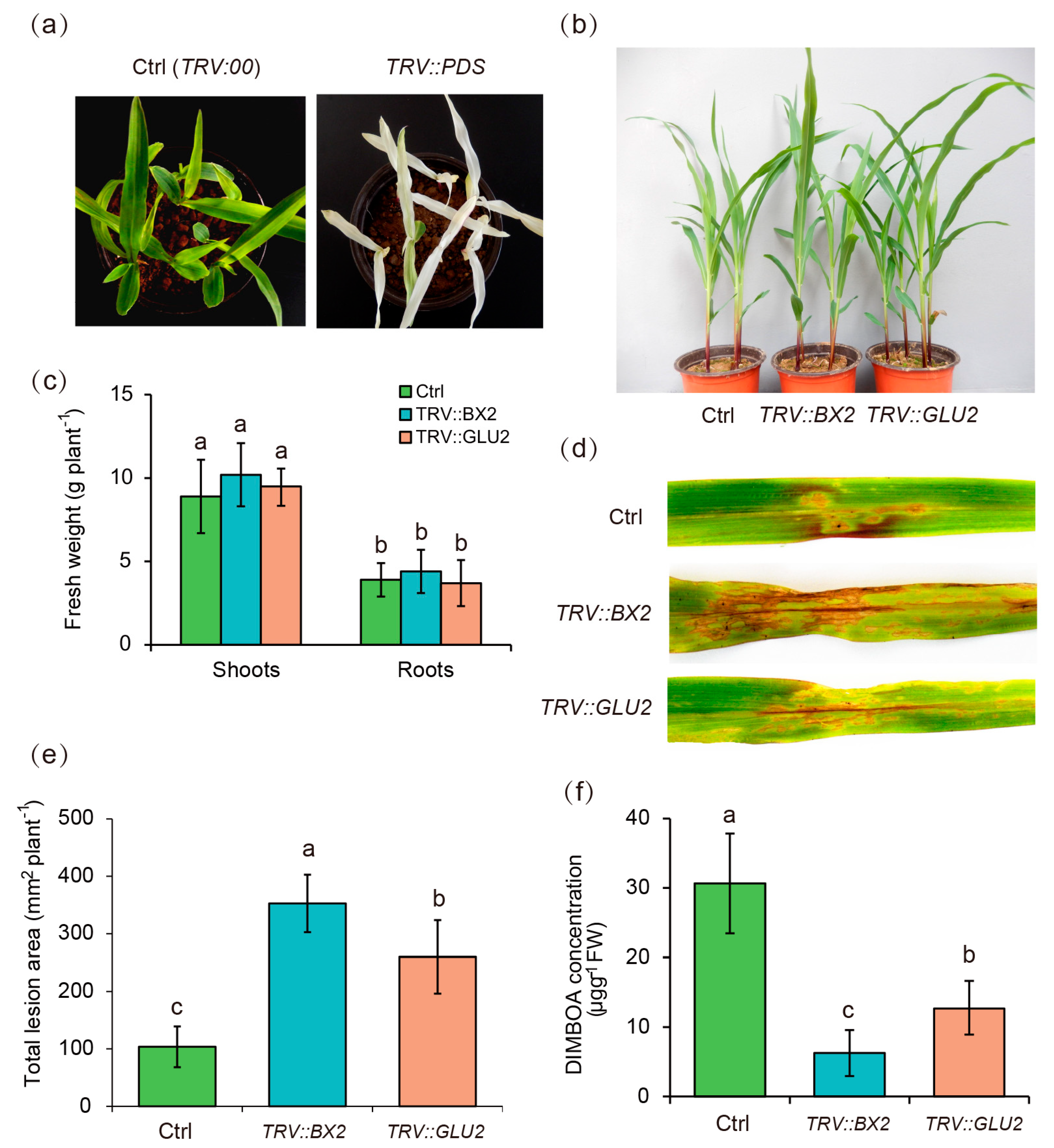 Agriculture 10 00032 g004