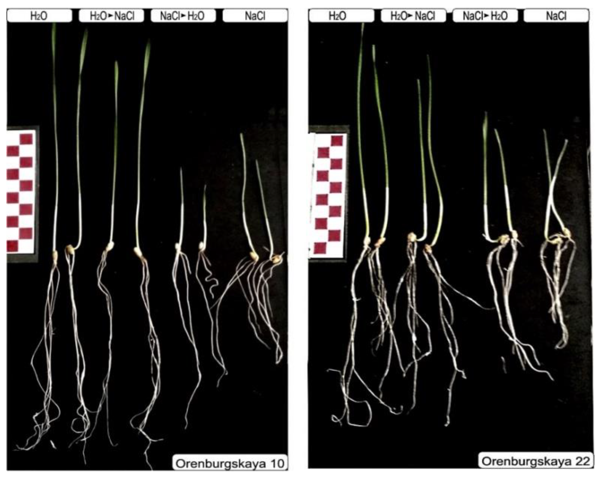 Agriculture 10 00055 g002