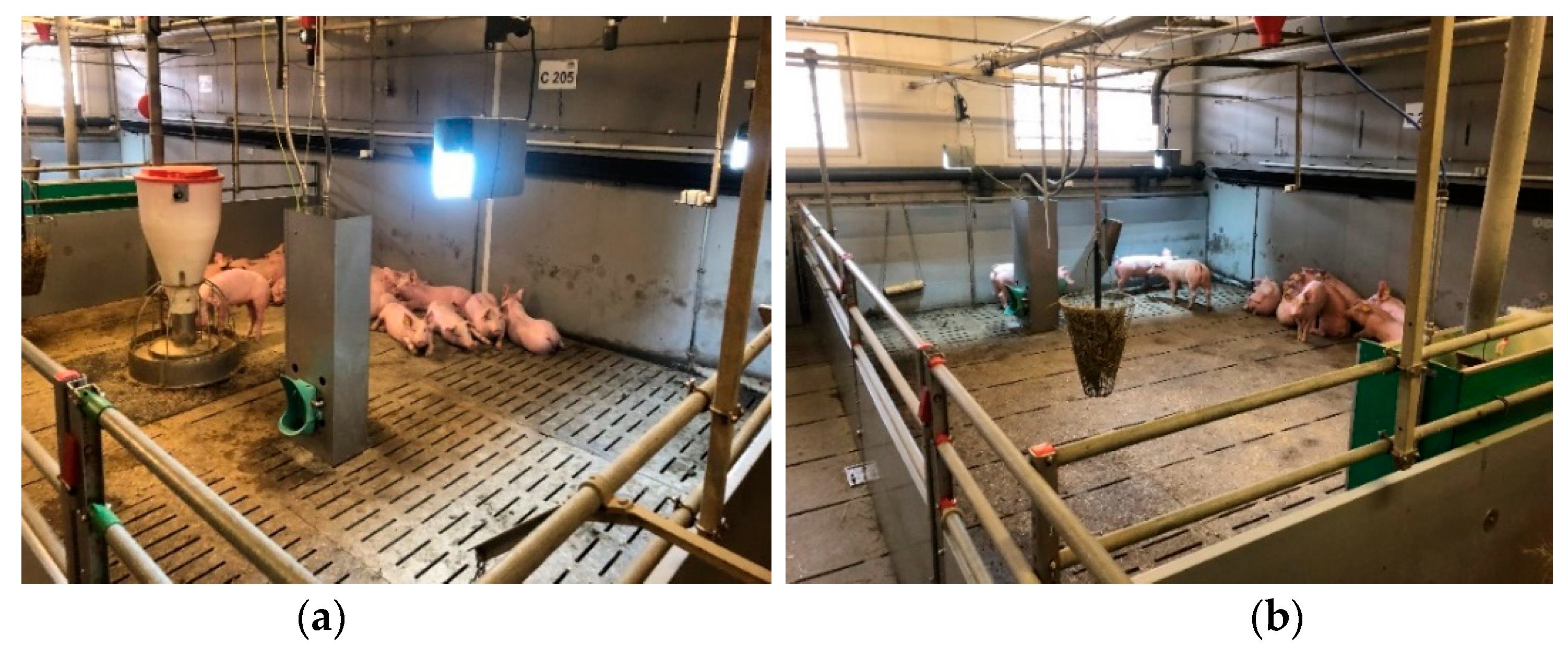 Agriculture 10 00056 g002