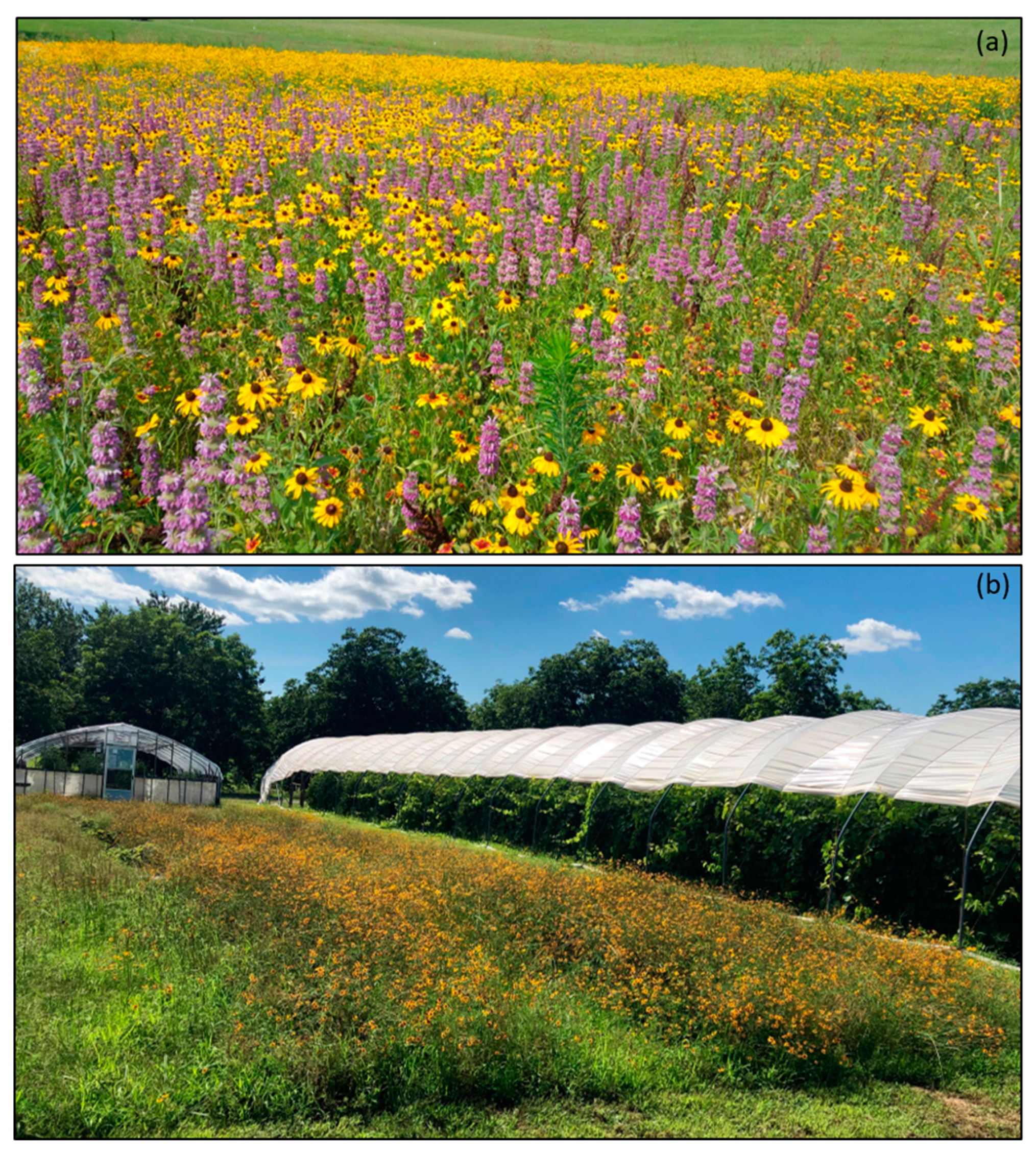Agriculture 10 00115 g002 Agriculture 10 00115 g002