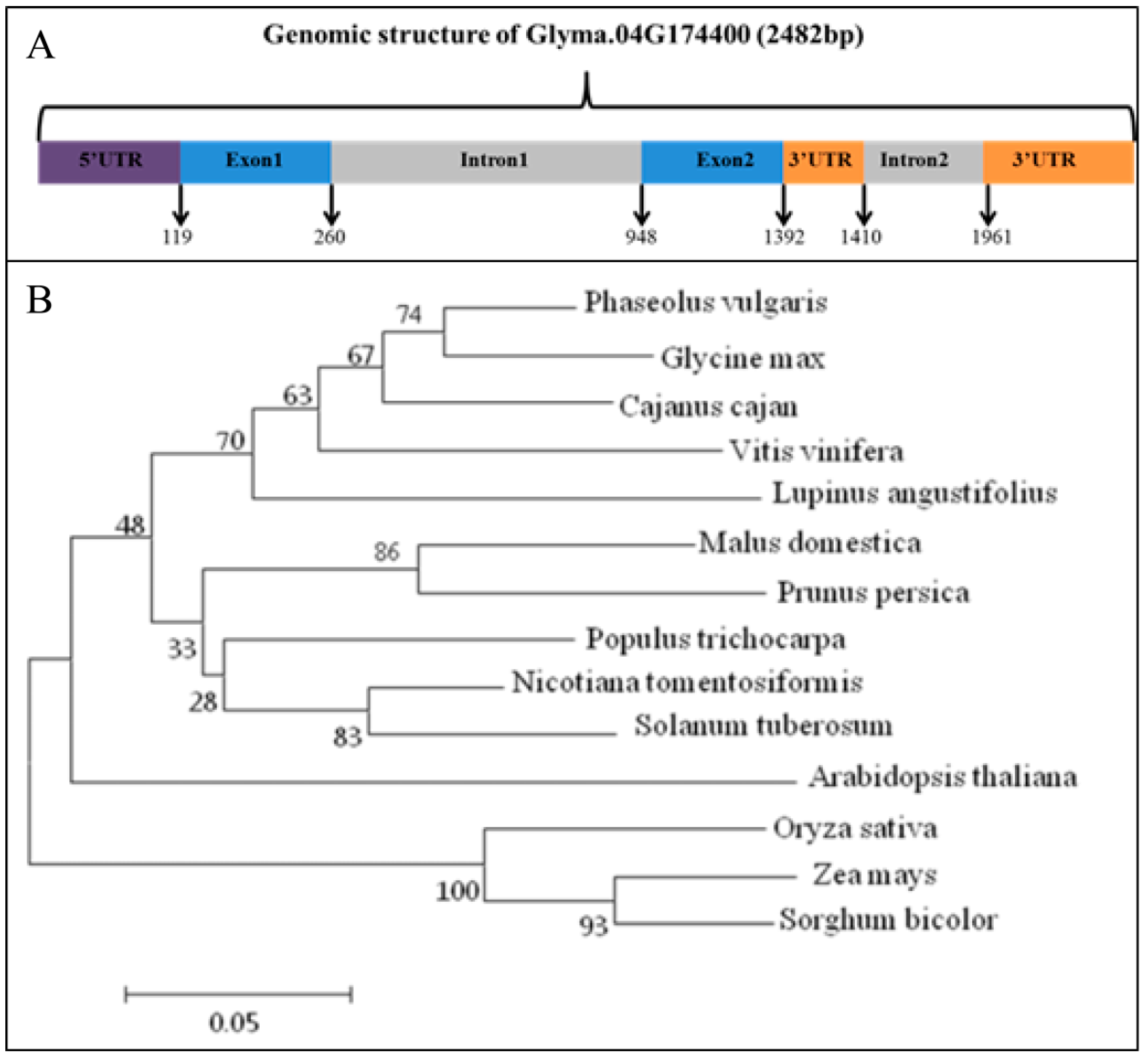 Agriculture 10 00157 g001 Agriculture 10 00157 g001