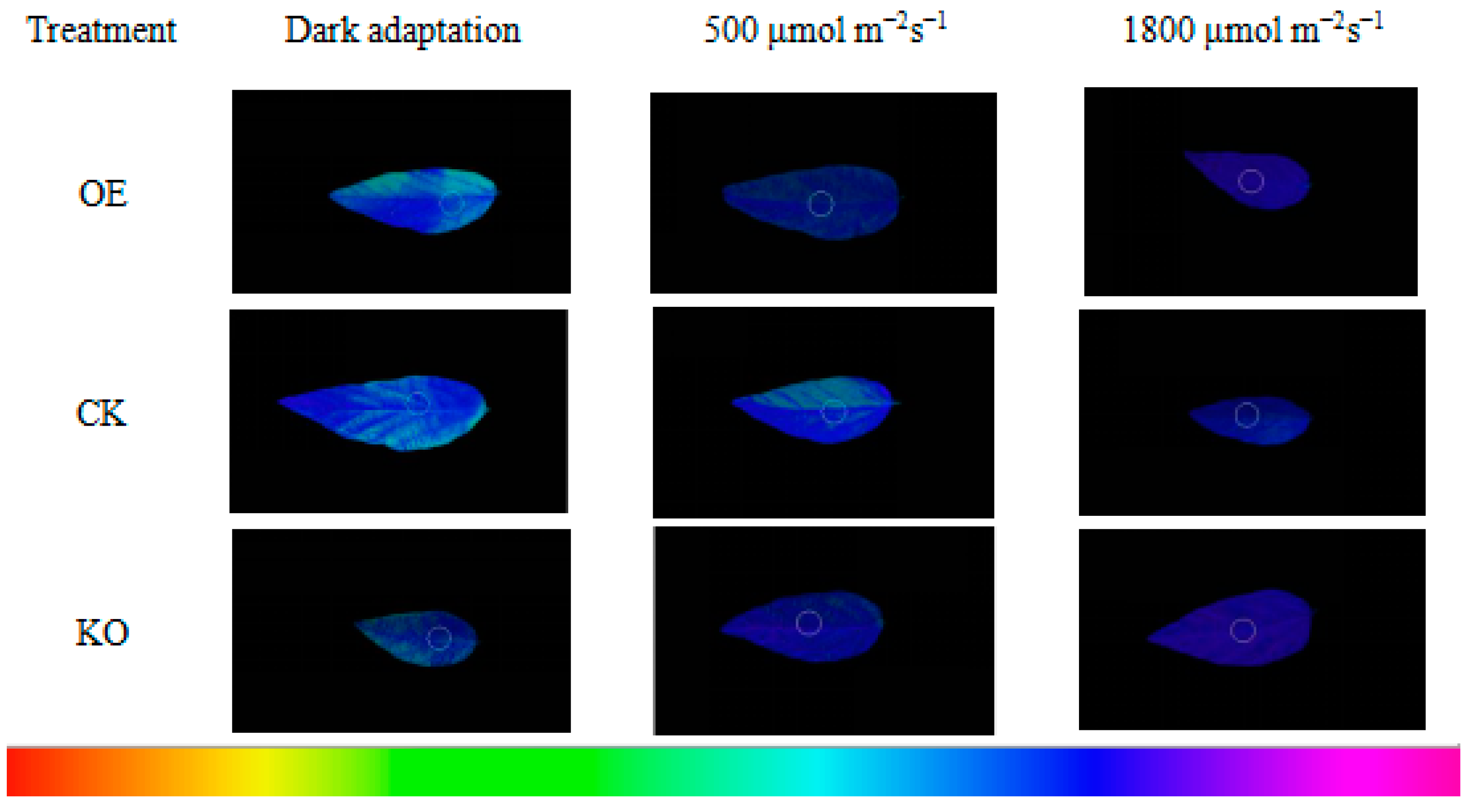 Agriculture 10 00157 g010 Agriculture 10 00157 g010