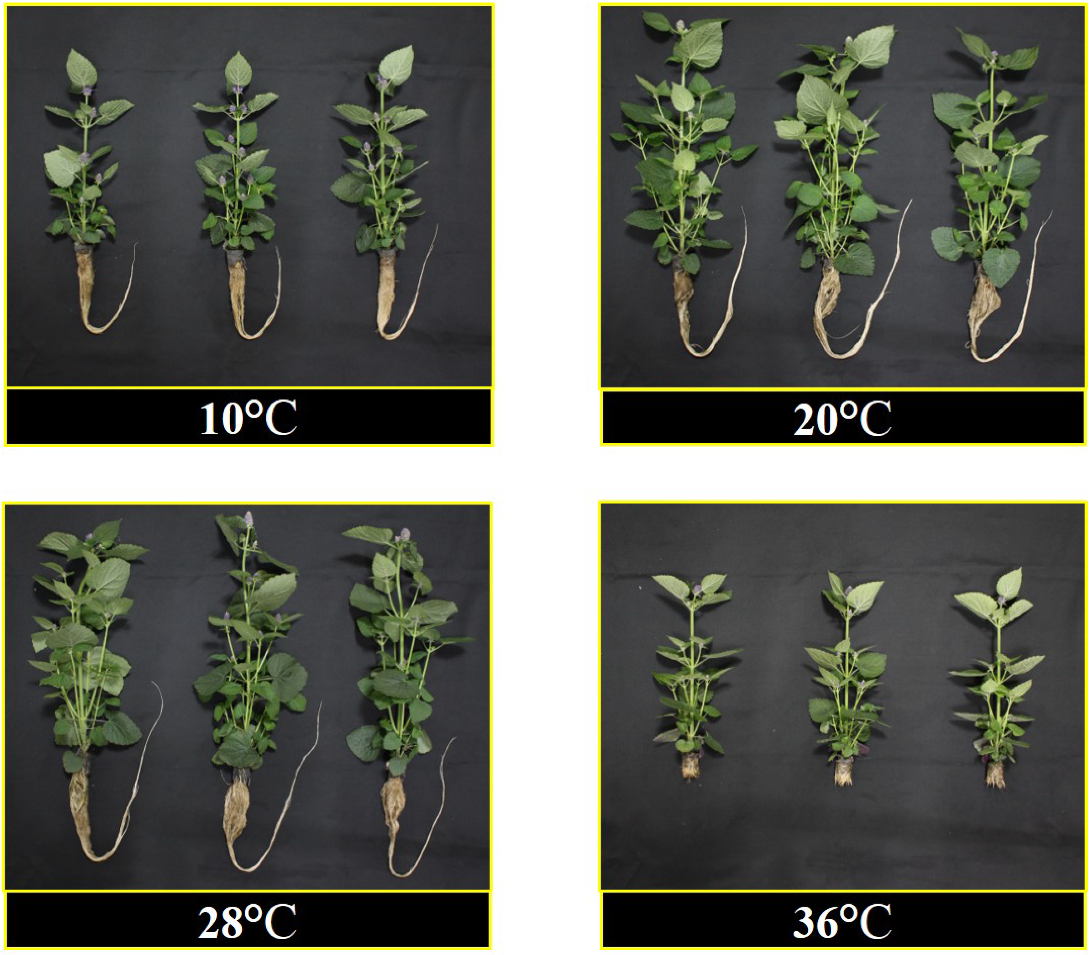 Agriculture 10 00162 g002 Agriculture 10 00162 g002