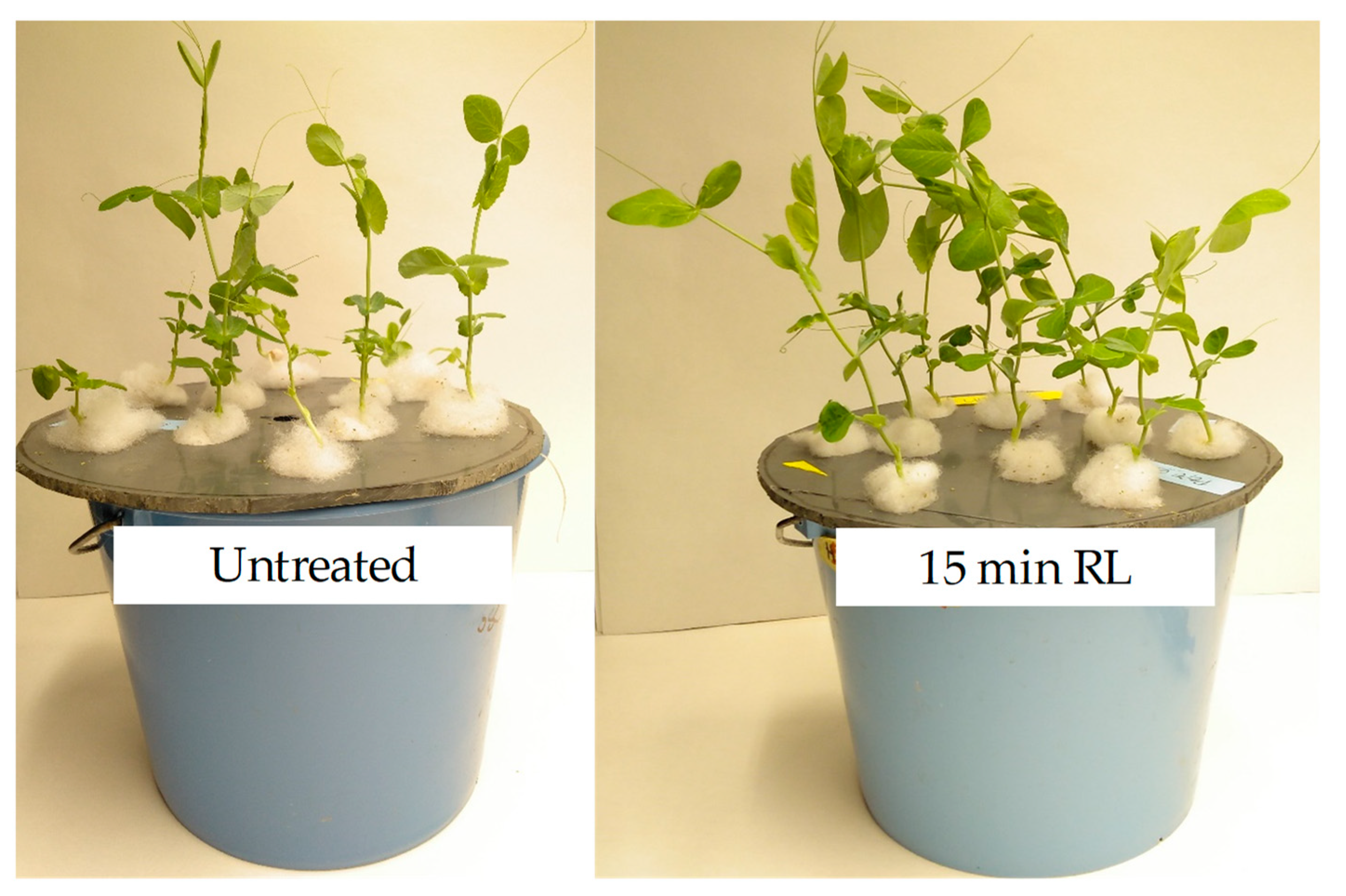 Agriculture 10 00204 g006 Agriculture 10 00204 g006